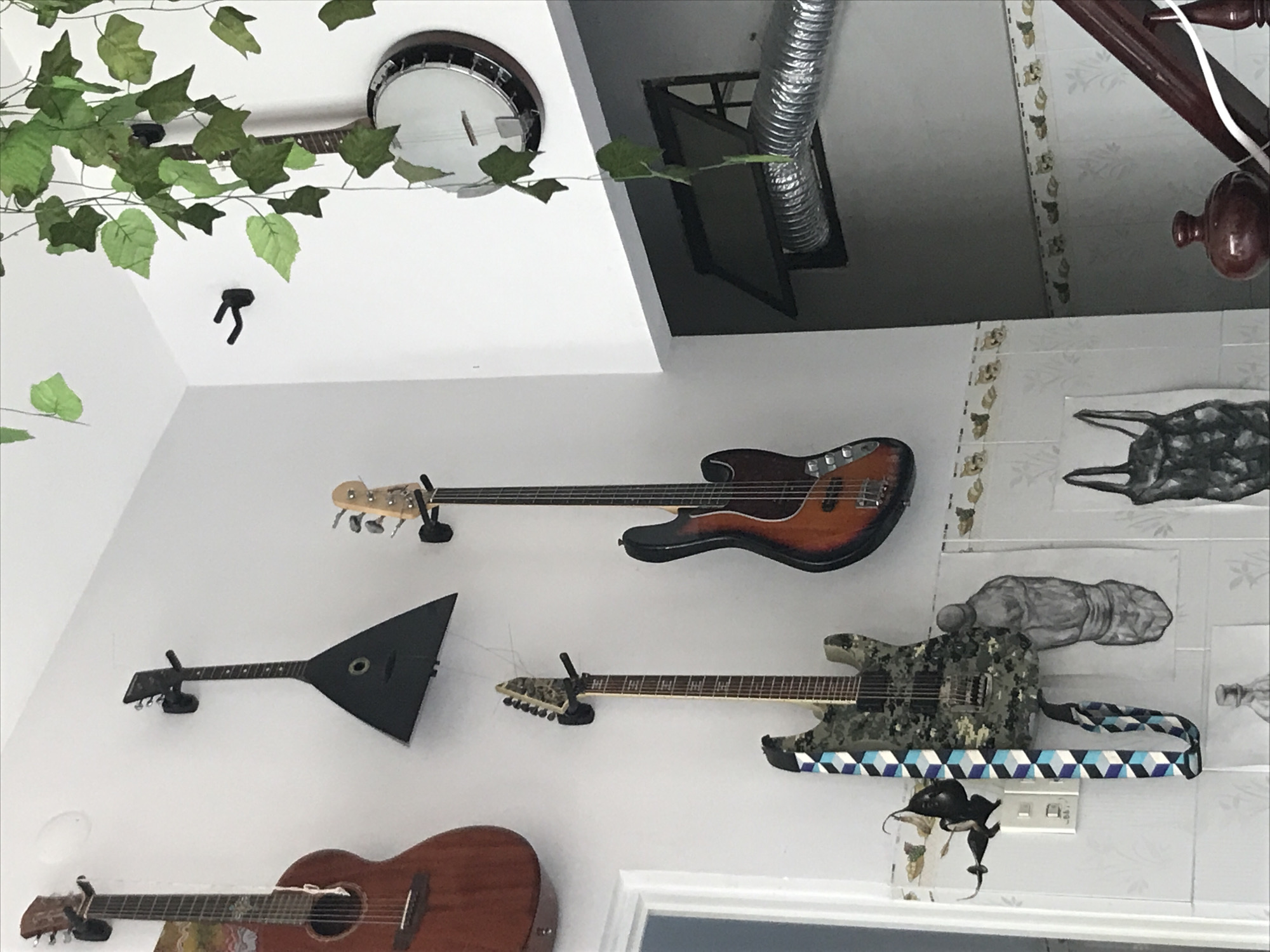 Morning snapshots from Nha Trang capture music, cat, restaurant