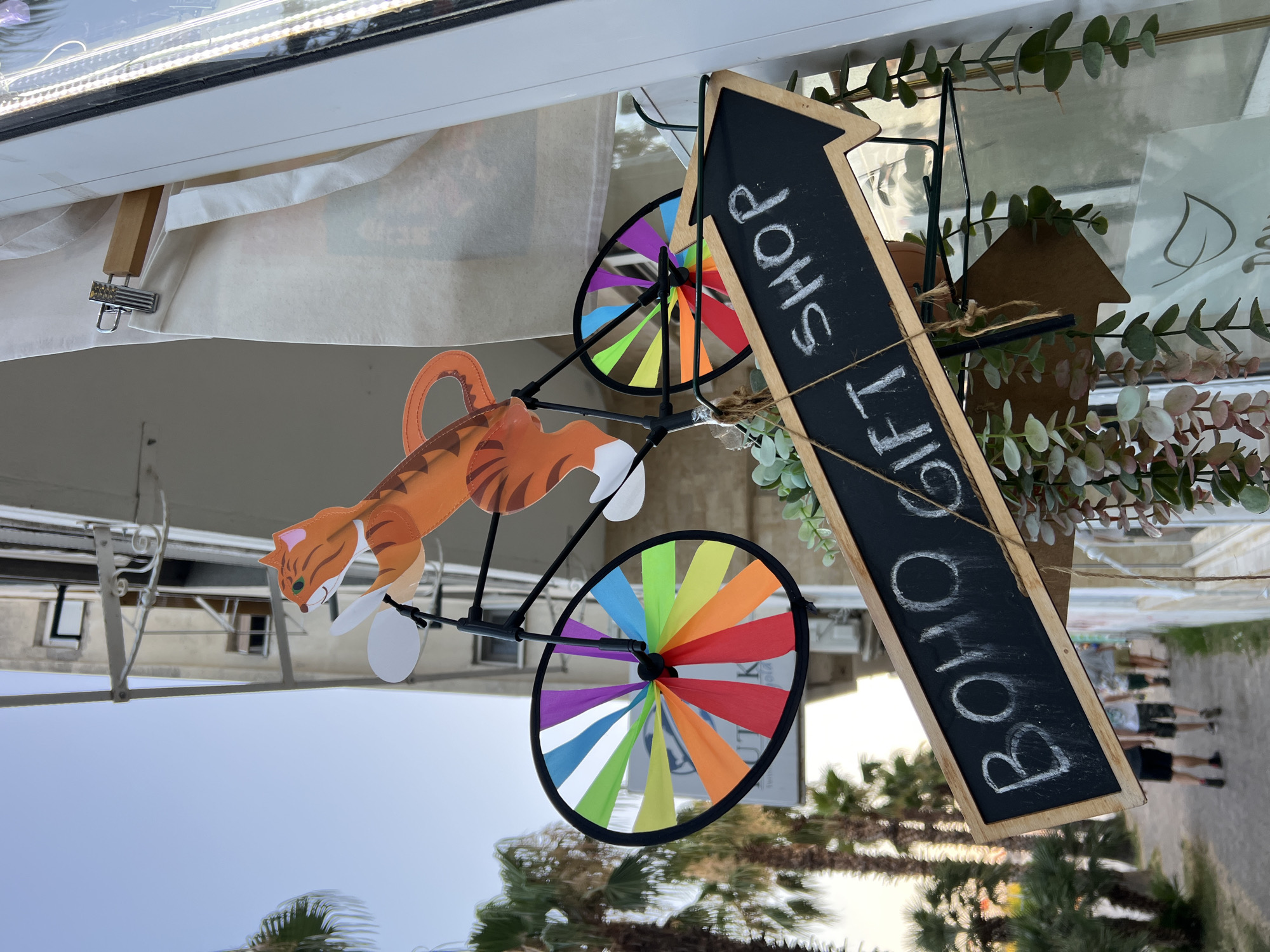 Pigeons, palm trees, and a cardboard tiger in Bar