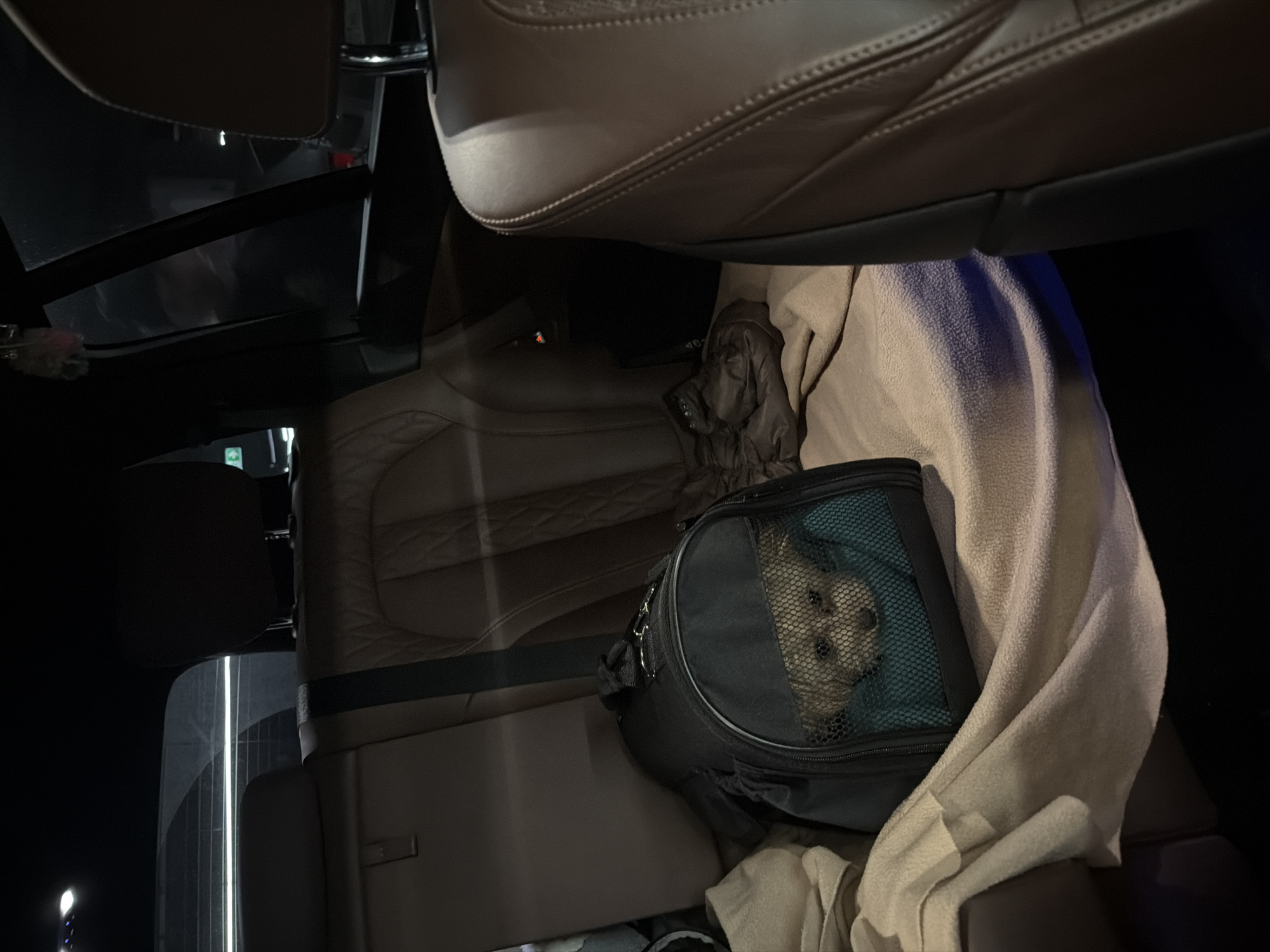 Nighttime car interior documented in Moscow