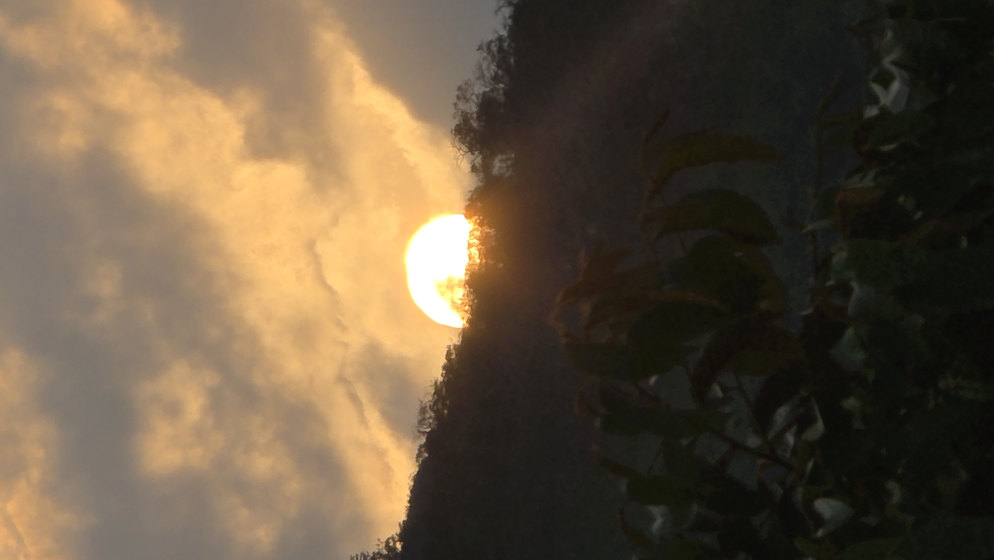 Evening sunset and wildlife captured at Vietnam heritage area