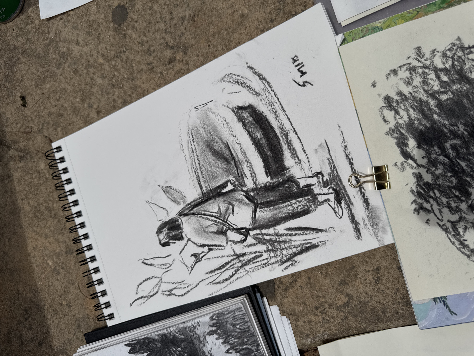 Artists gather for outdoor sketching session in Tel Aviv park