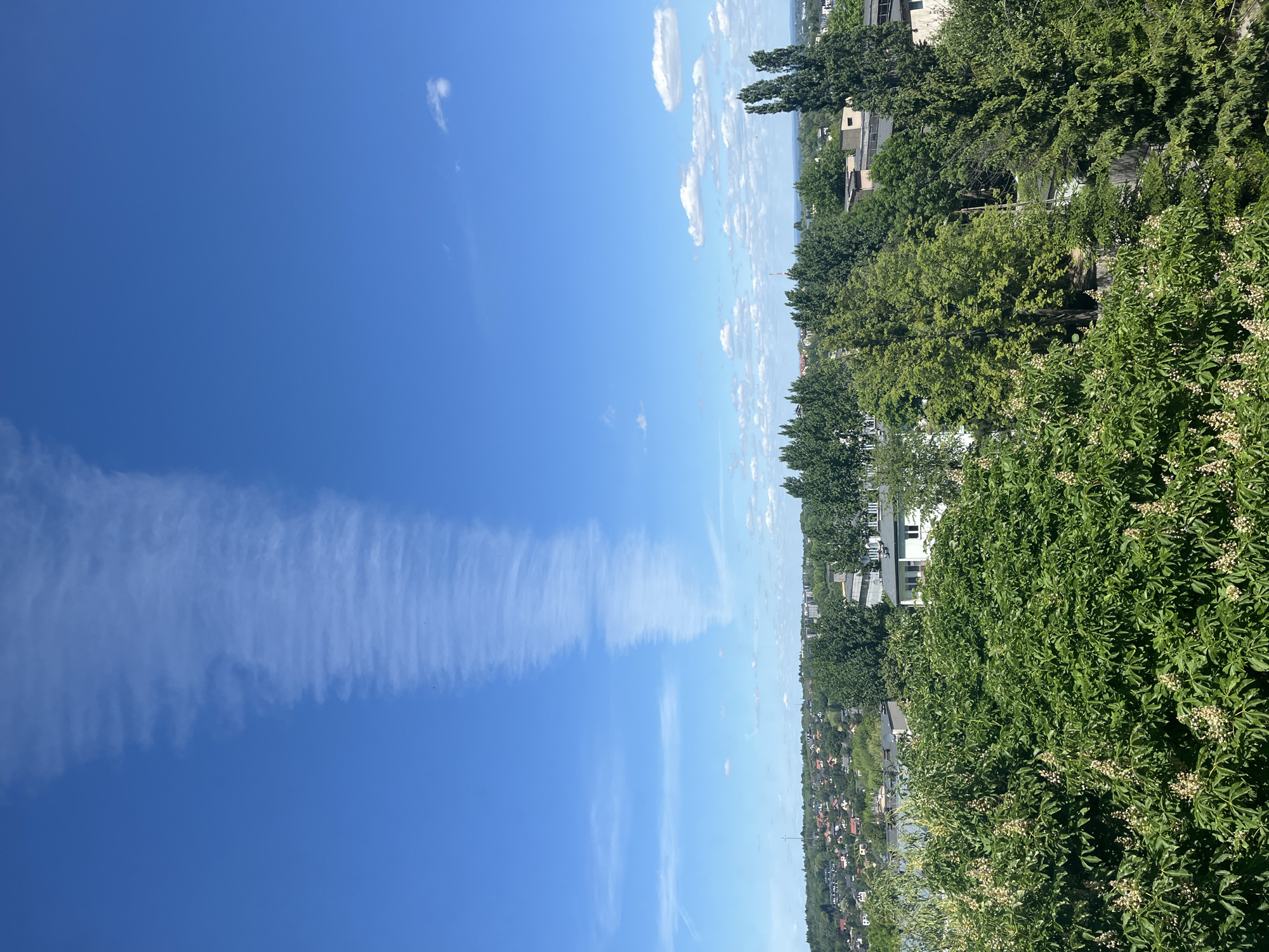 Aircraft contrail observed across urban skies amid everyday moments