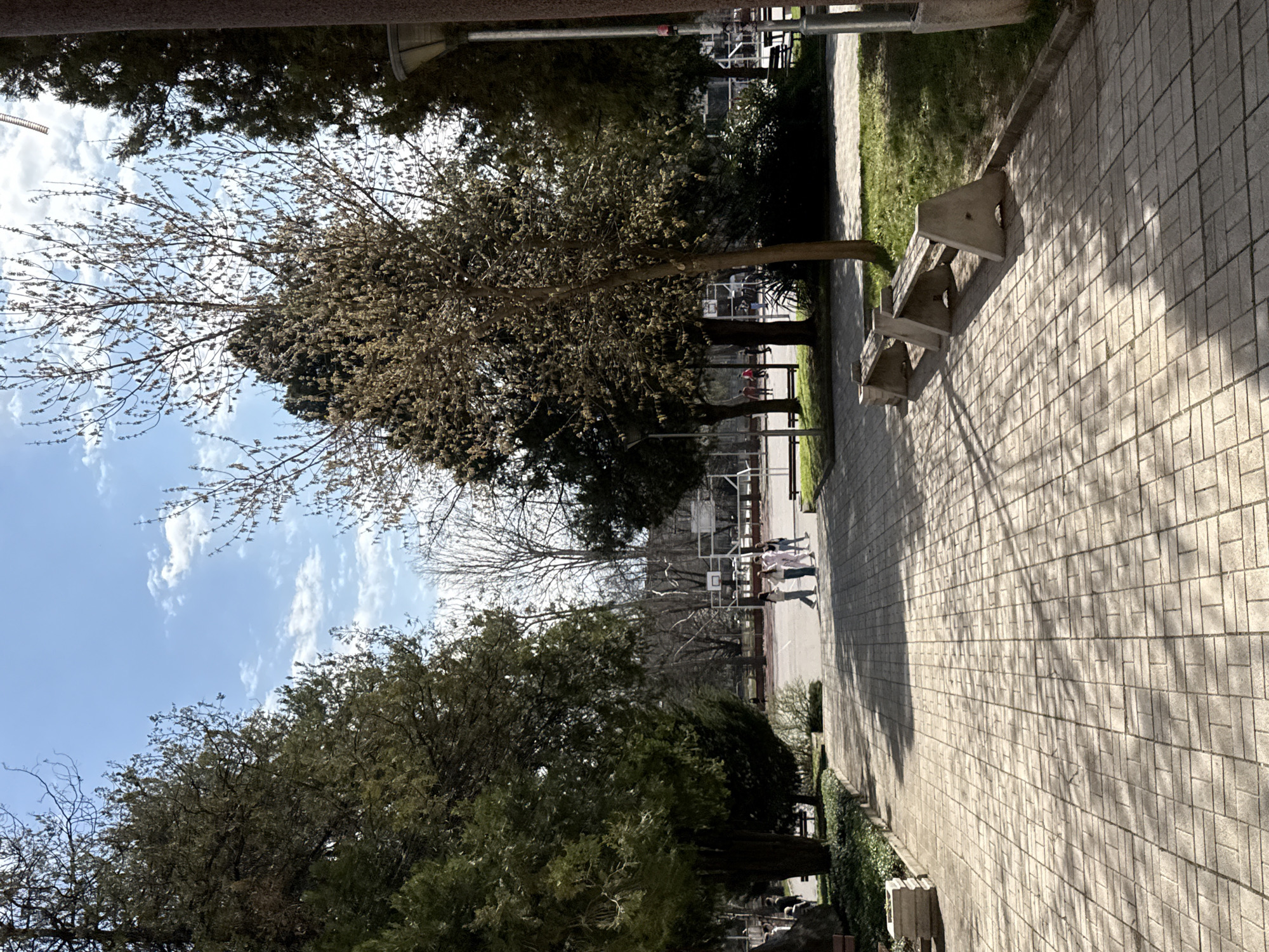 Pedestrians walk tree-lined path near basketball court in Montana, Bulgaria