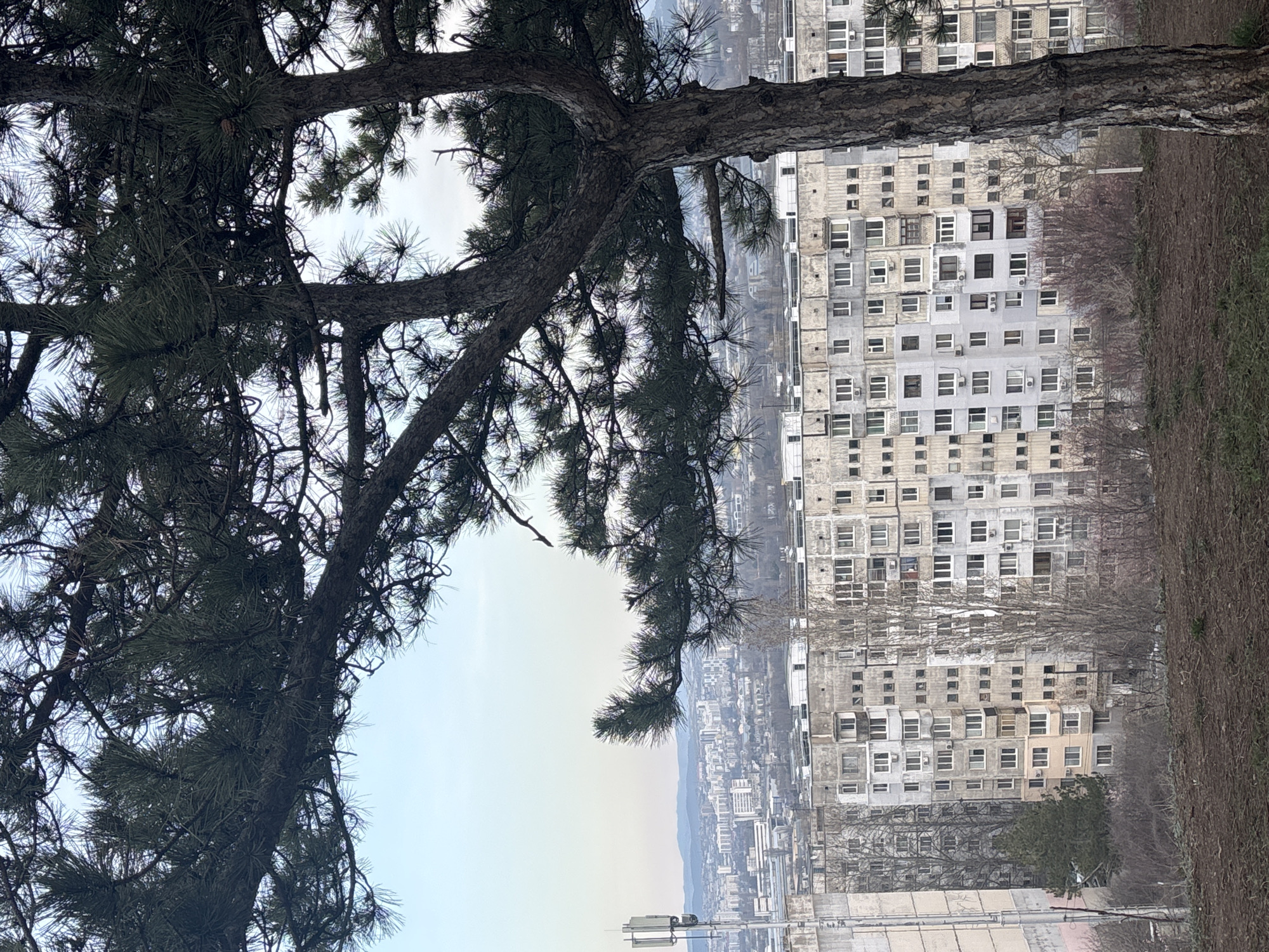 Tourist documents Simferopol monument and city views from hillside