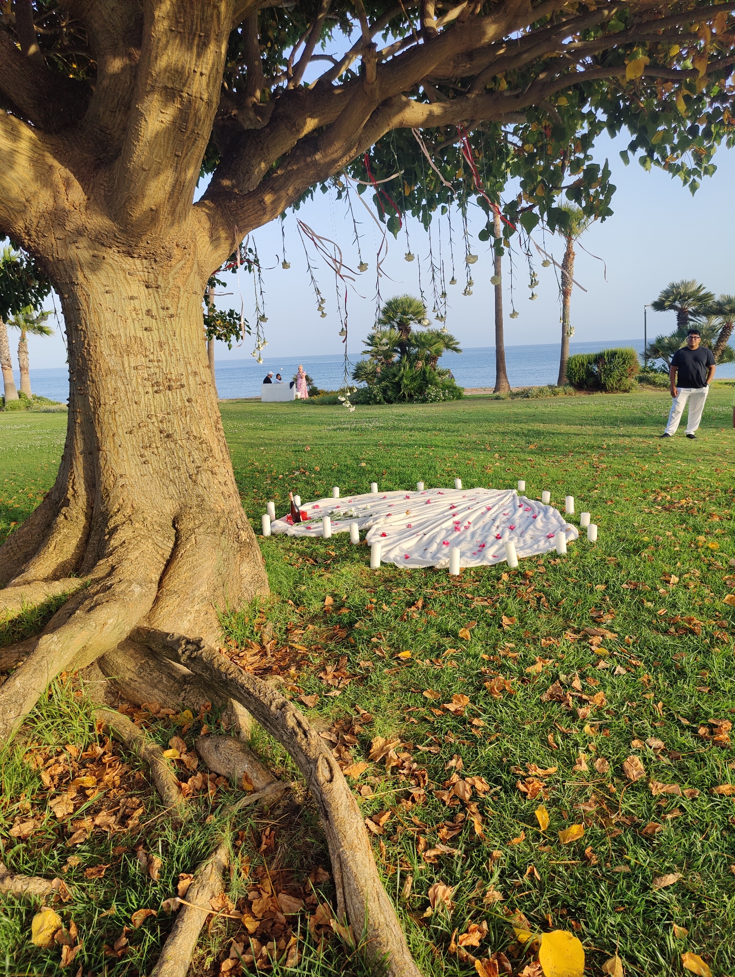 Oceanside proposal setup, roaming dogs, and a fountain park