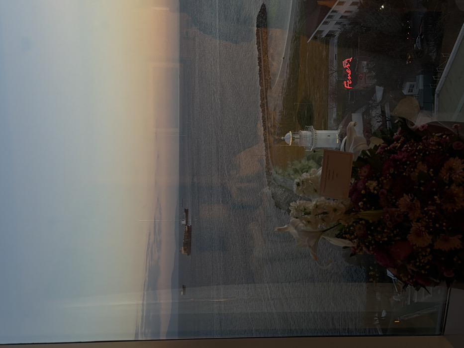 Marmara Sea coastline observed at dusk from Bakırköy window