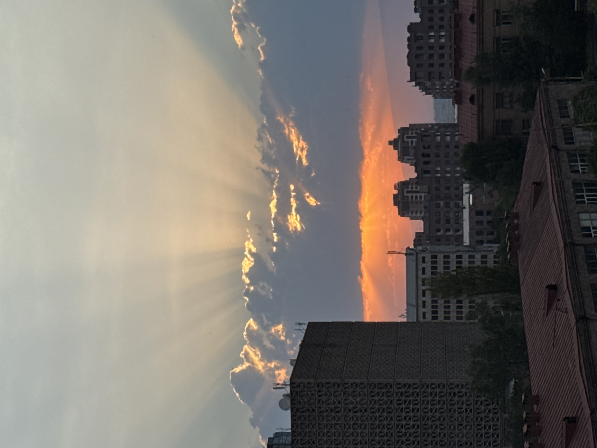 Sunset to nightfall at a city waterfront, ducks included