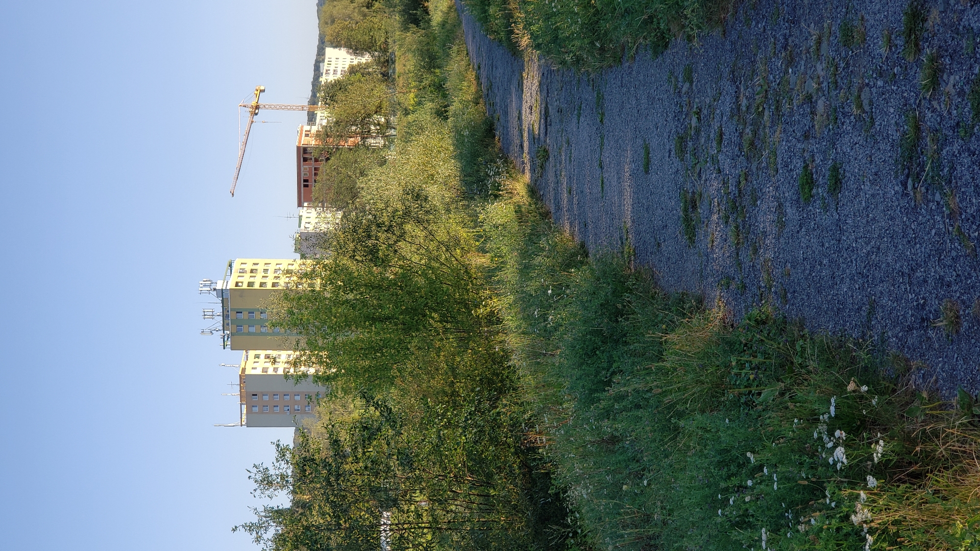 Prešov's rough edges and quiet green spaces on a summer morning