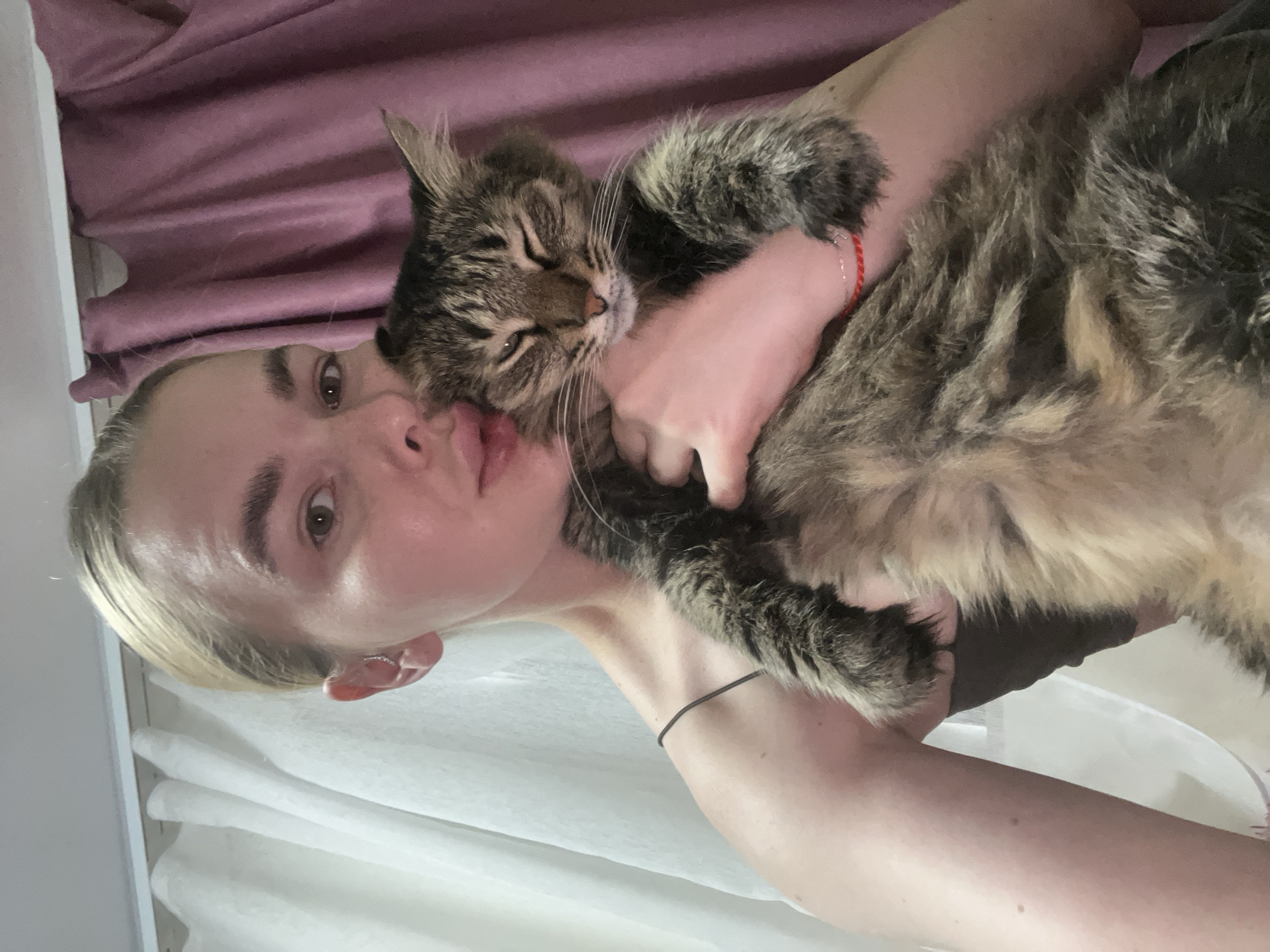 Fluffy tabby cat photographed up close in Tikhoretsk