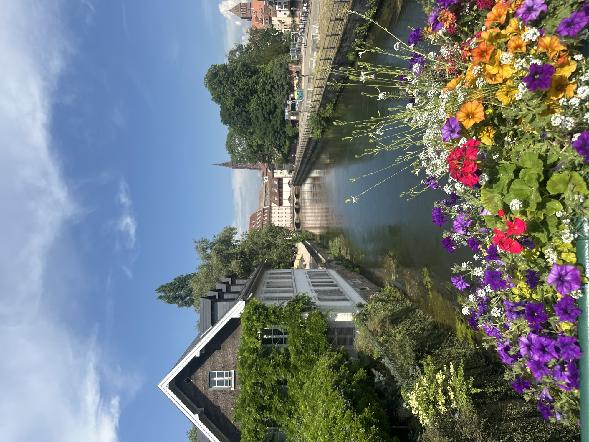 Wisteria and canal reflections along Strasbourg's Petite France