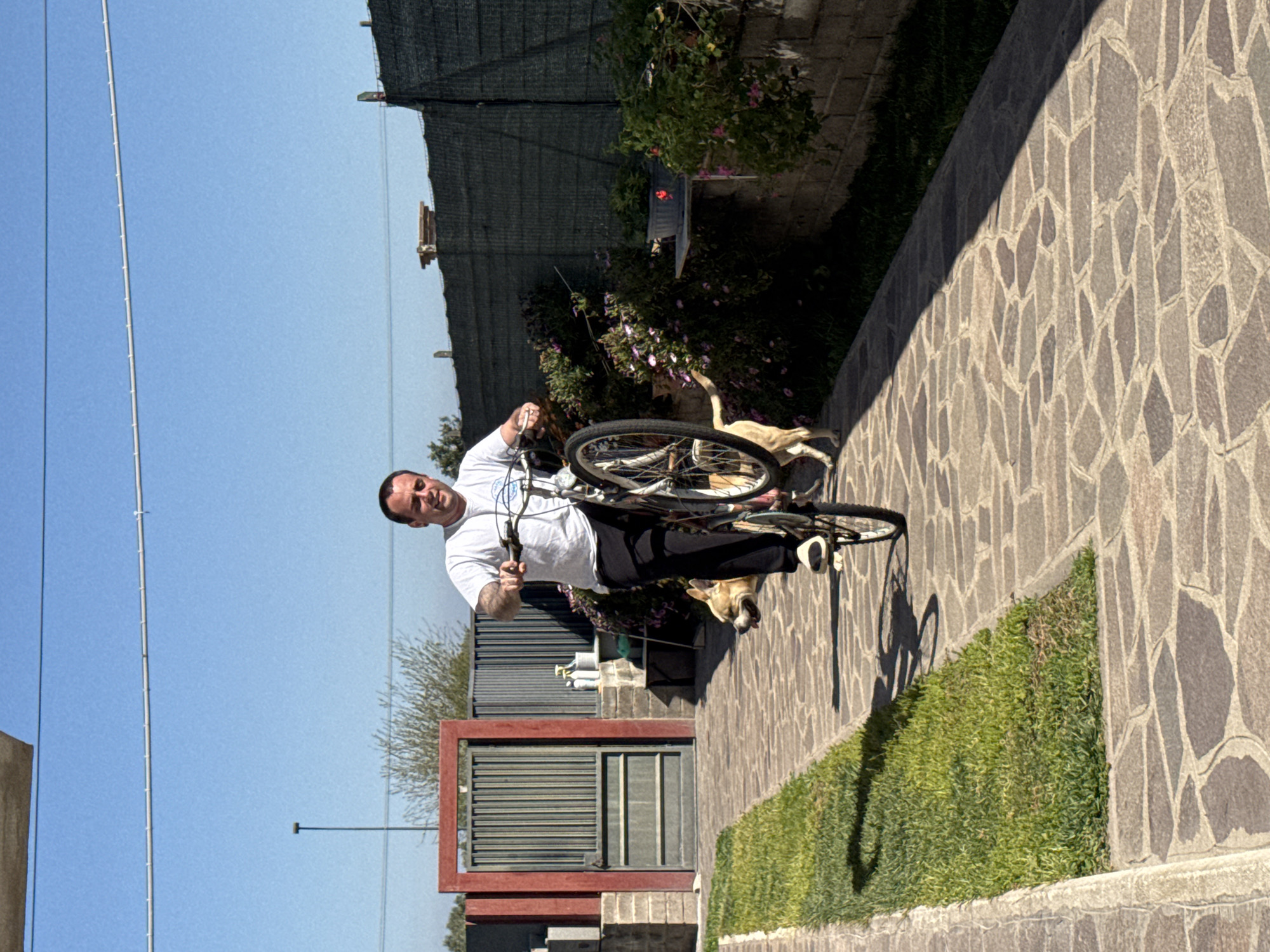 Man cycles with dog companion through Aprilia residential paths