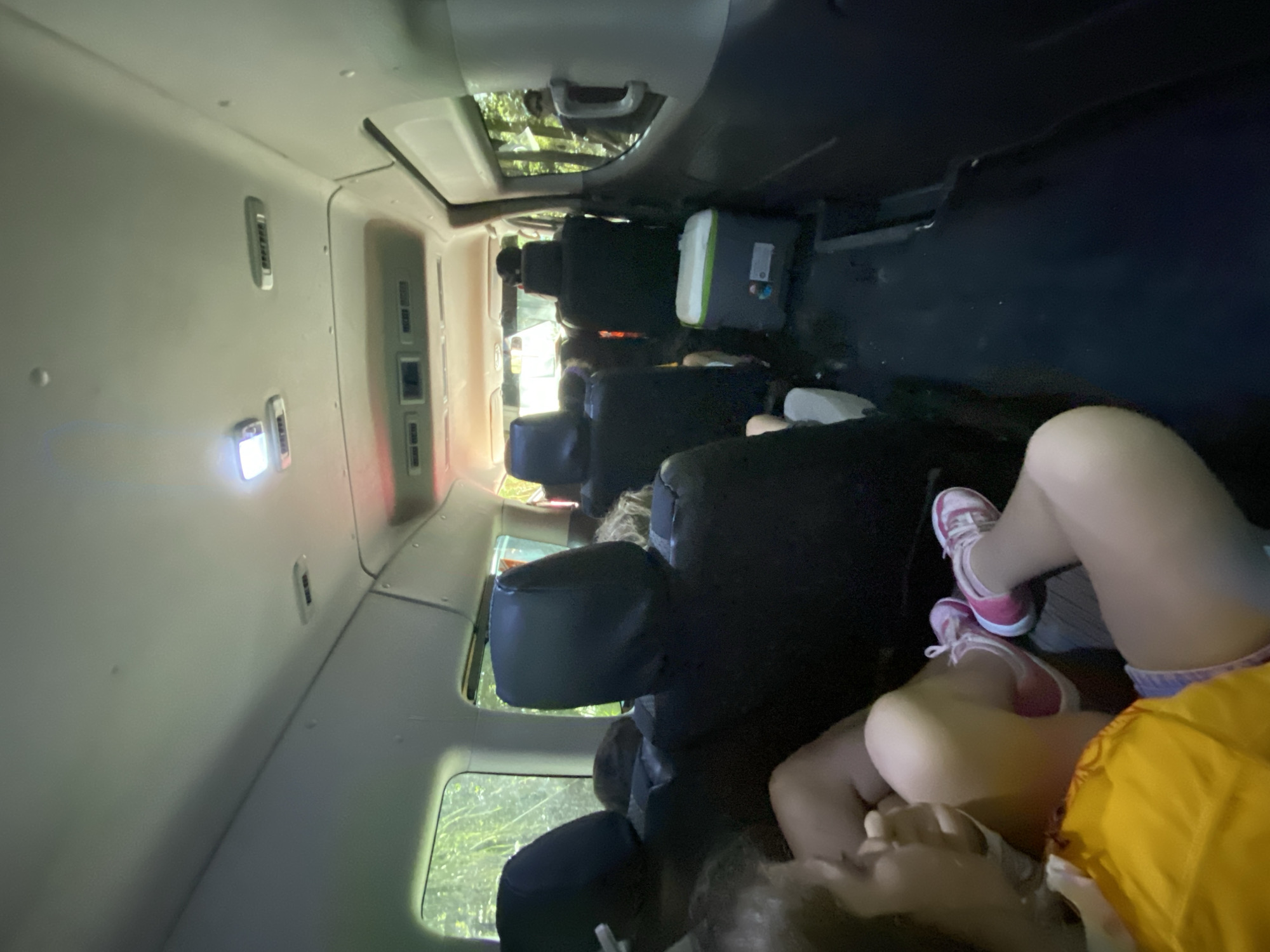 Van interior and thatched building scenes captured in Leona Vicario