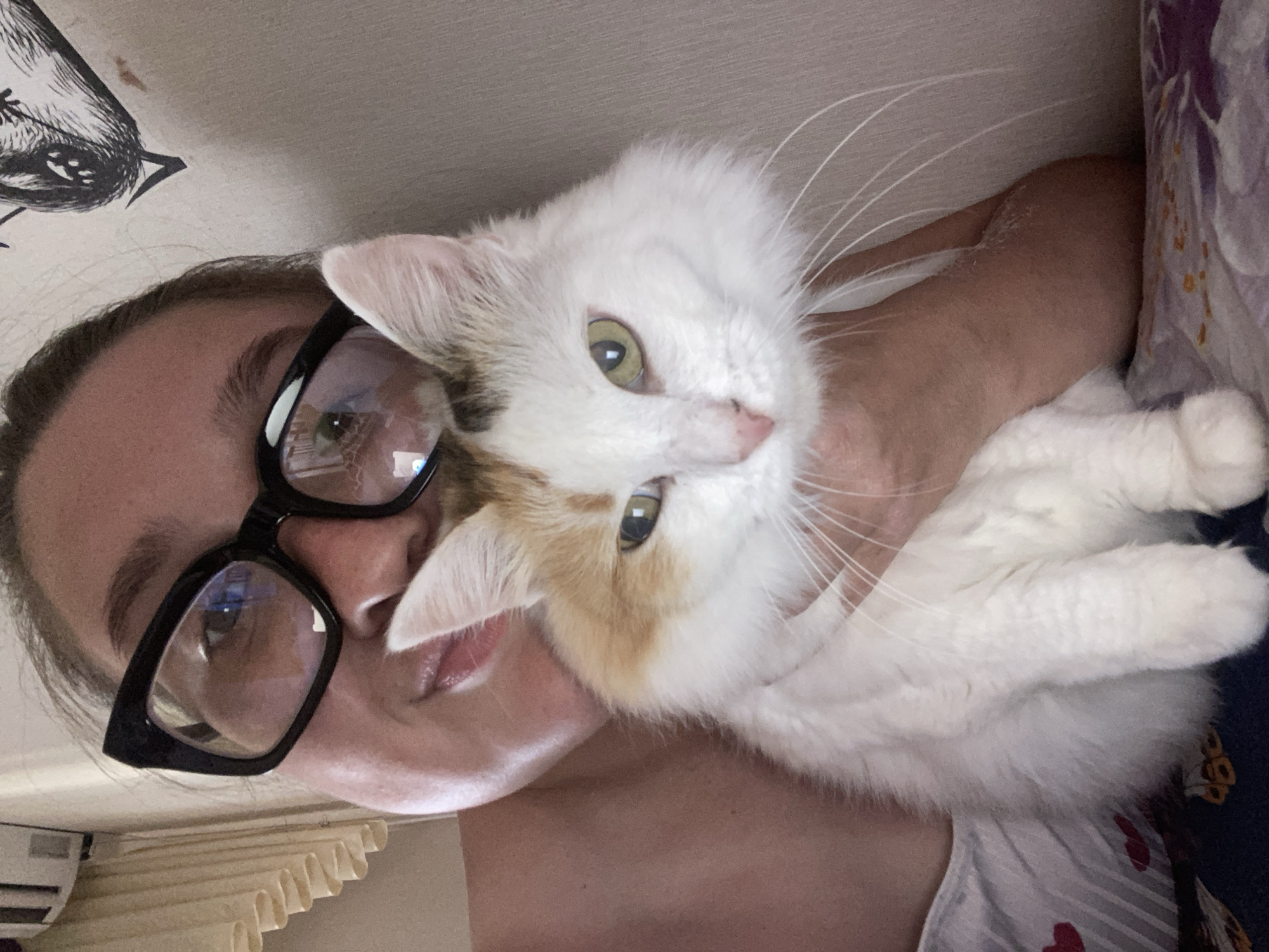 Lazy summer afternoon at home in Chaikovsky, cat included