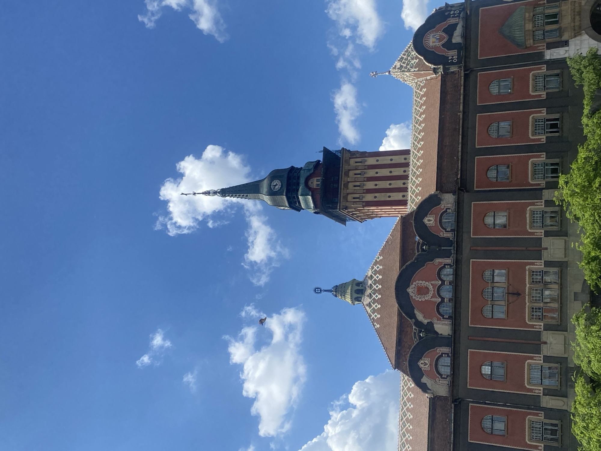Woman cycles past Subotica City Hall with flower basket