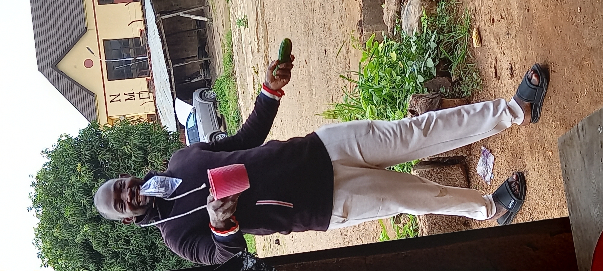 Person with plastic bag observed in semi-urban area
