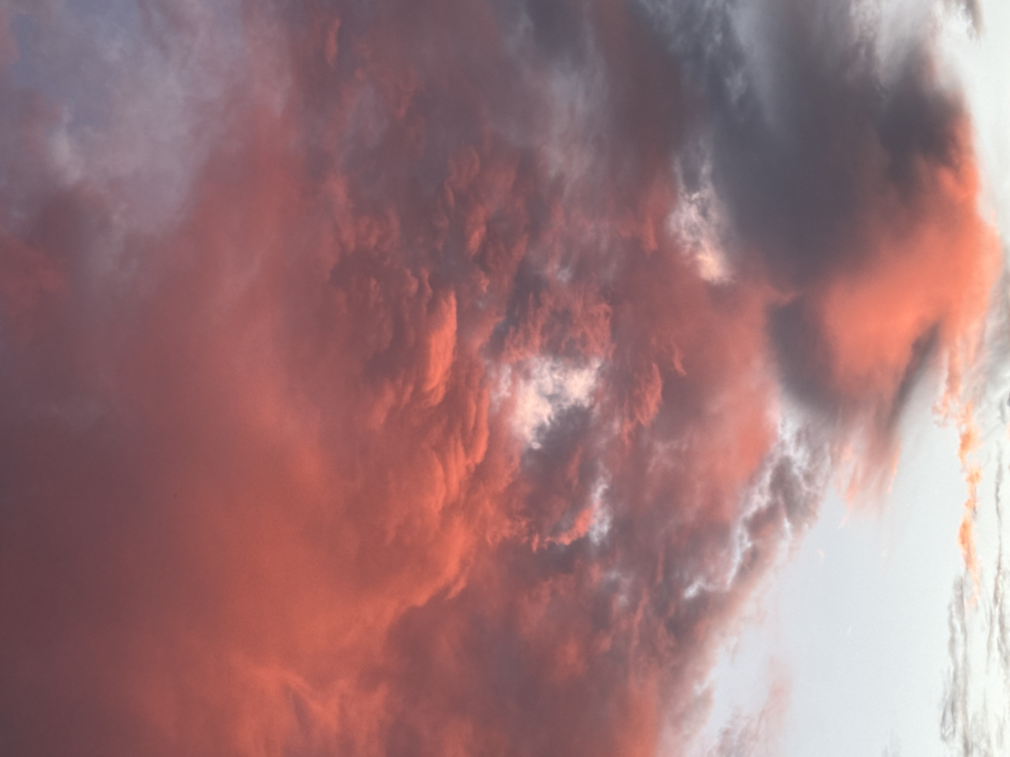 Bruges rooftop sunset, clouds going full coral to dusk