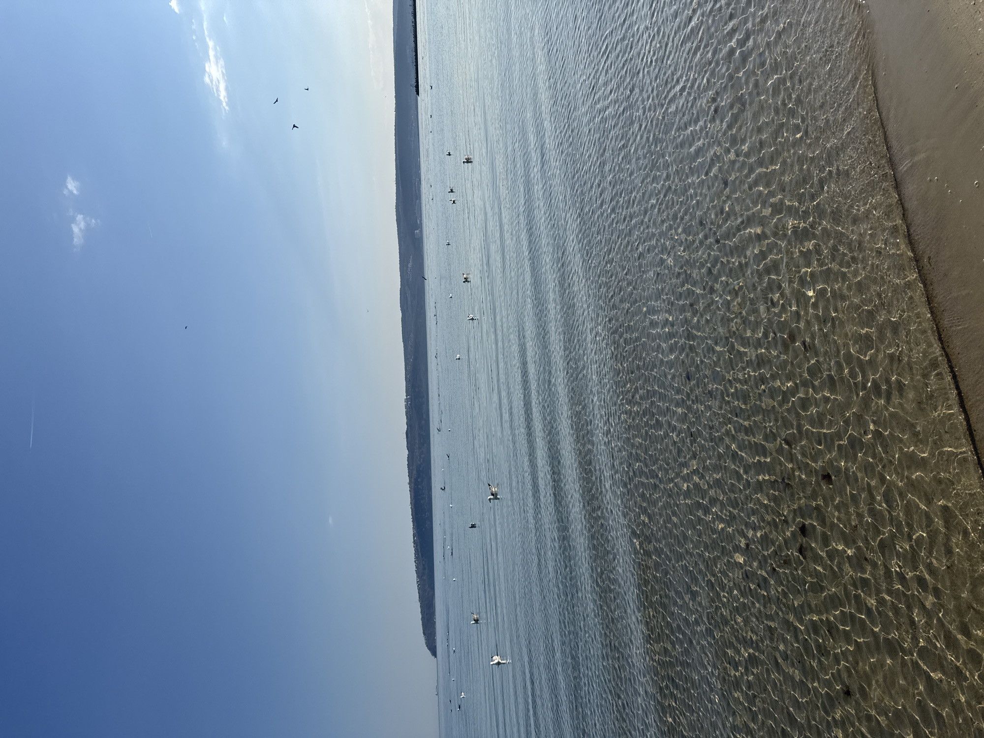 Midday beach recreation observed in Varna, Bulgaria