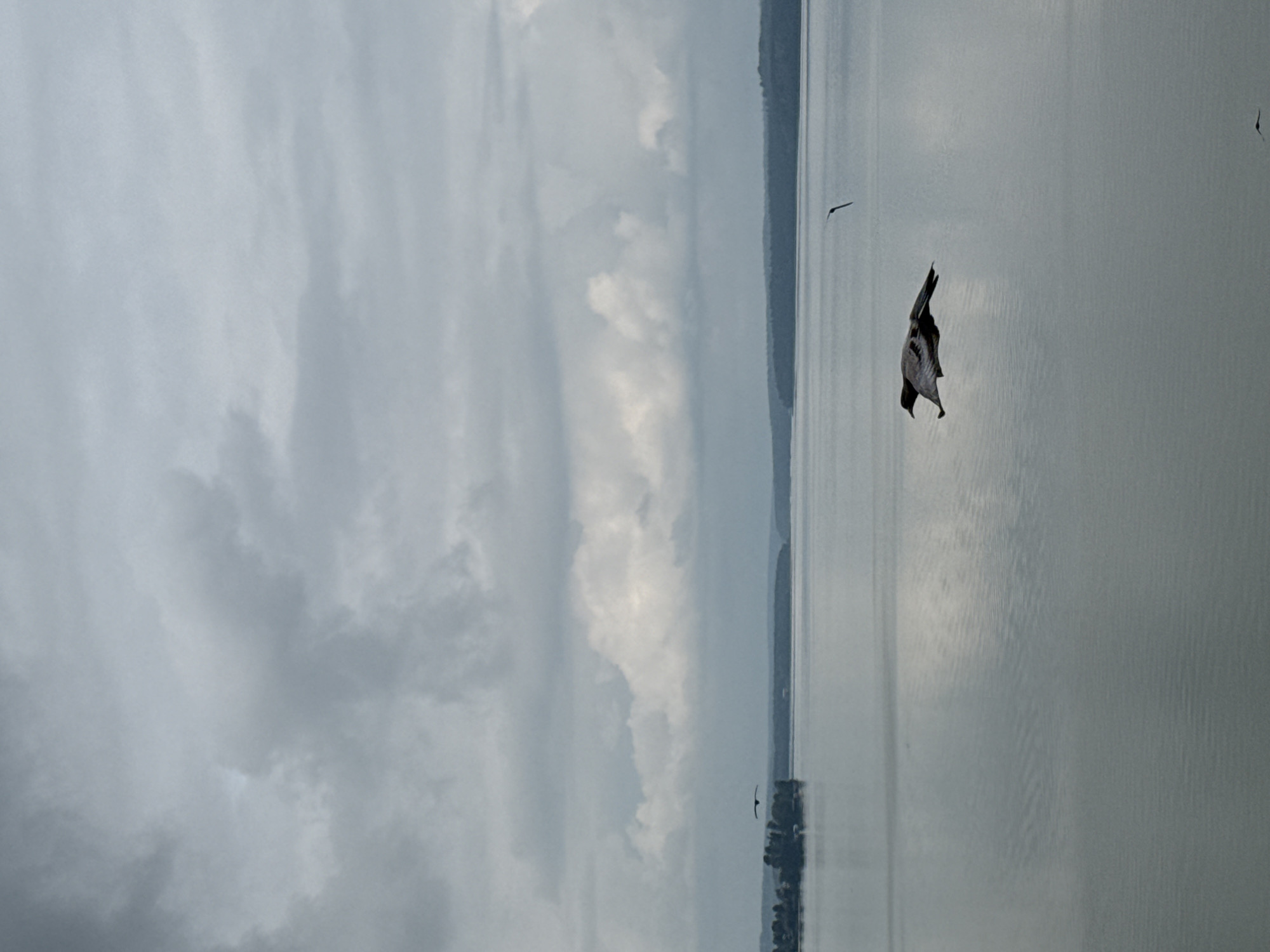 Birds glide over a still, cloudy Votkinsk Reservoir