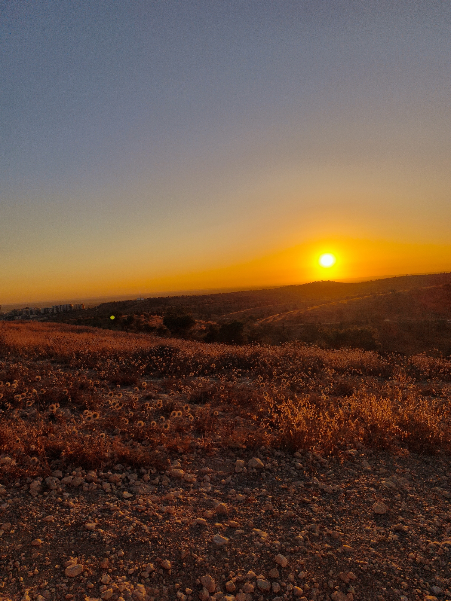 Sunset sweeps across Be'er-Sheva's Negev landscape