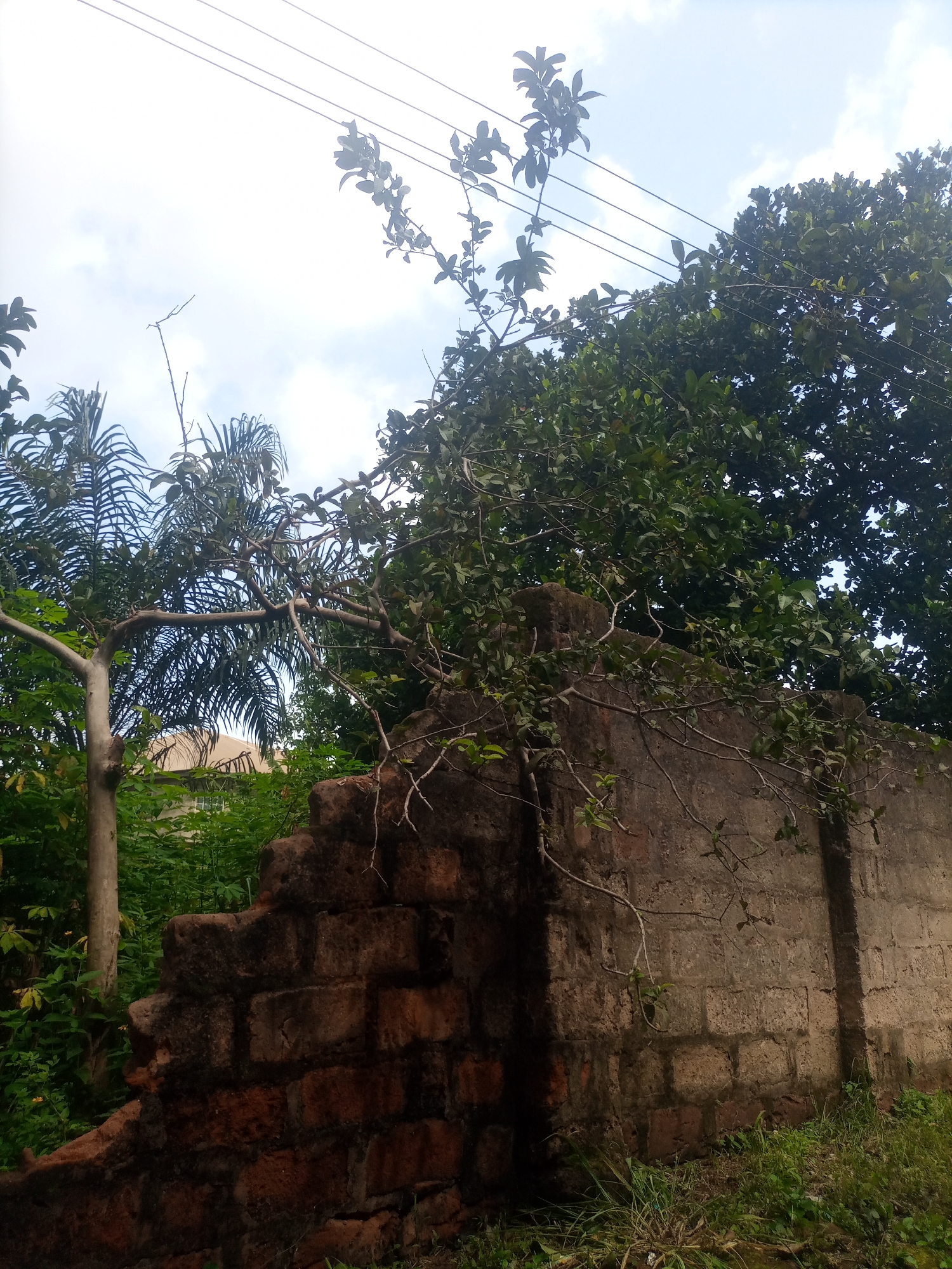 Everyday street life in a residential Nkpor neighborhood