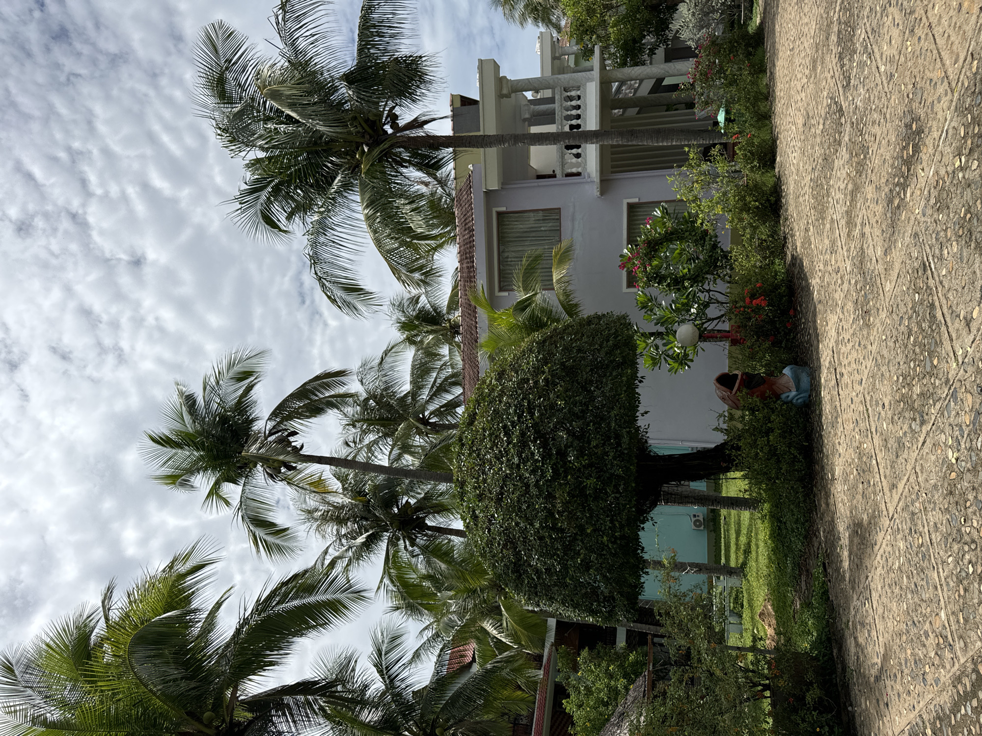 Early morning photo session in tropical Vietnamese garden setting