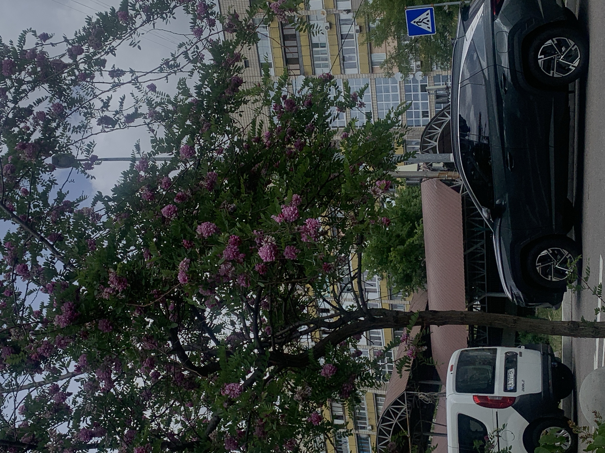 Morning street scenes captured across Kyiv neighborhoods