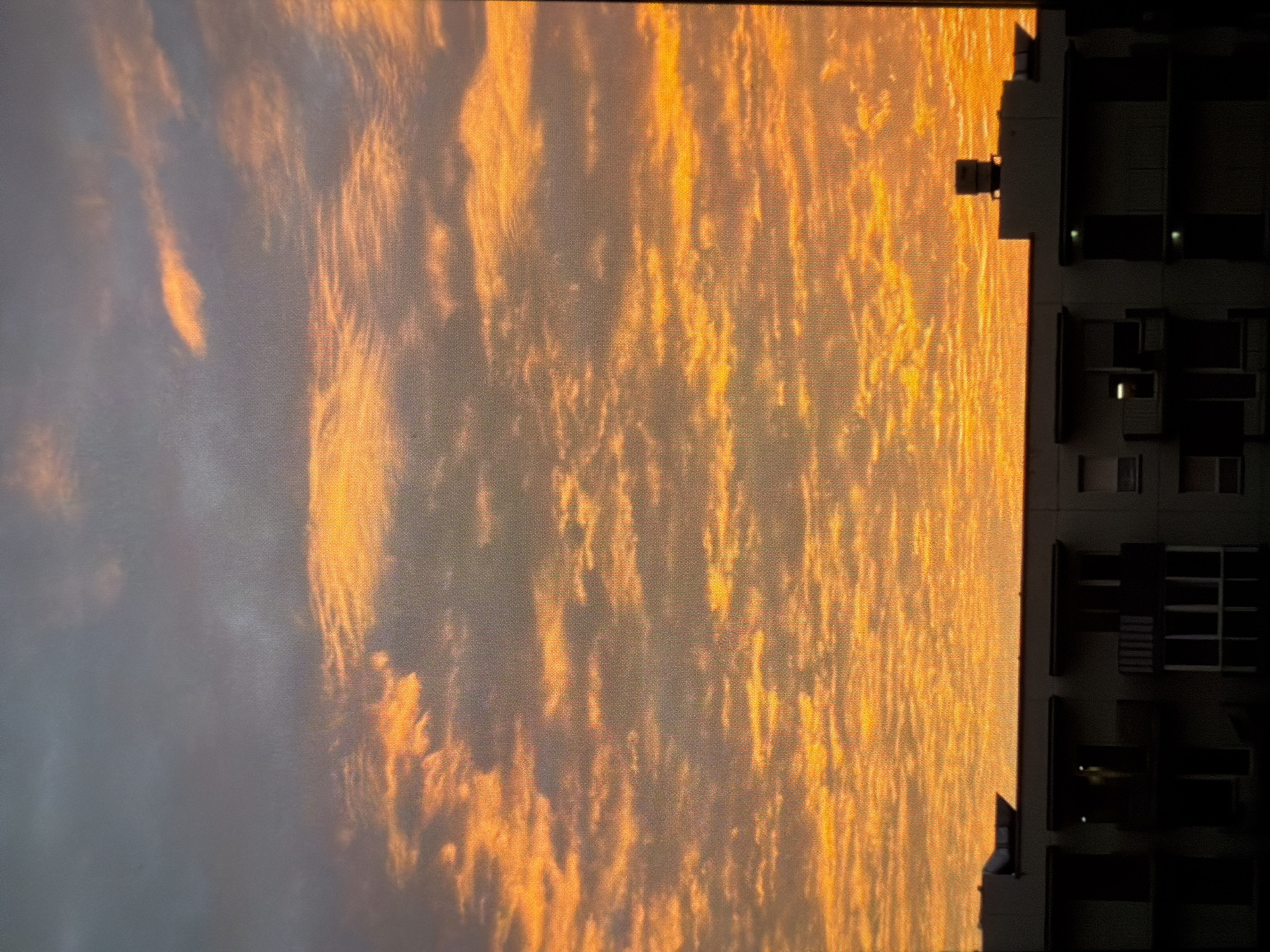 Evening in Vilnius: sunset, tulips, portrait, and shopping