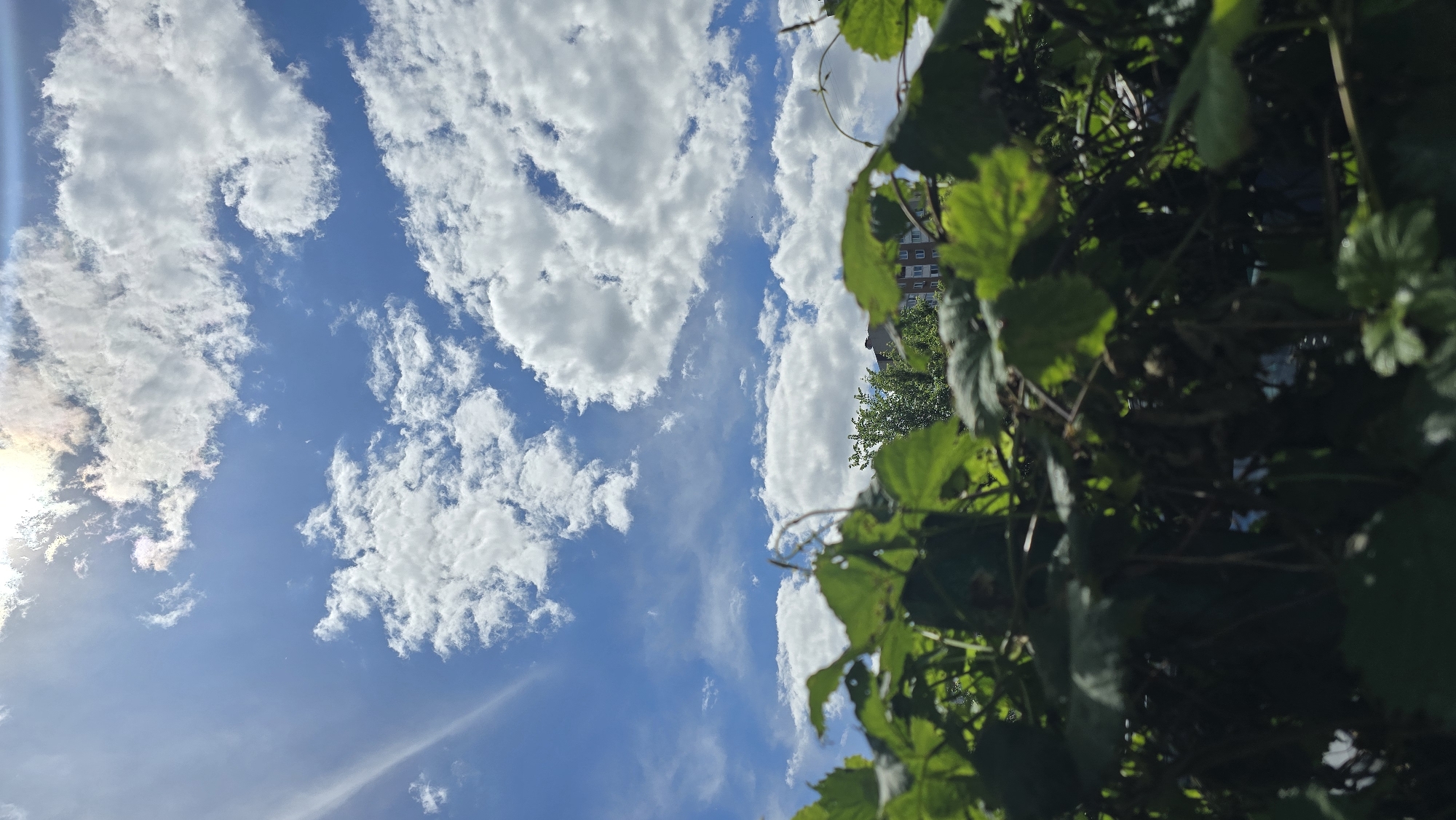 Sunny morning scenes captured in Kyiv residential areas