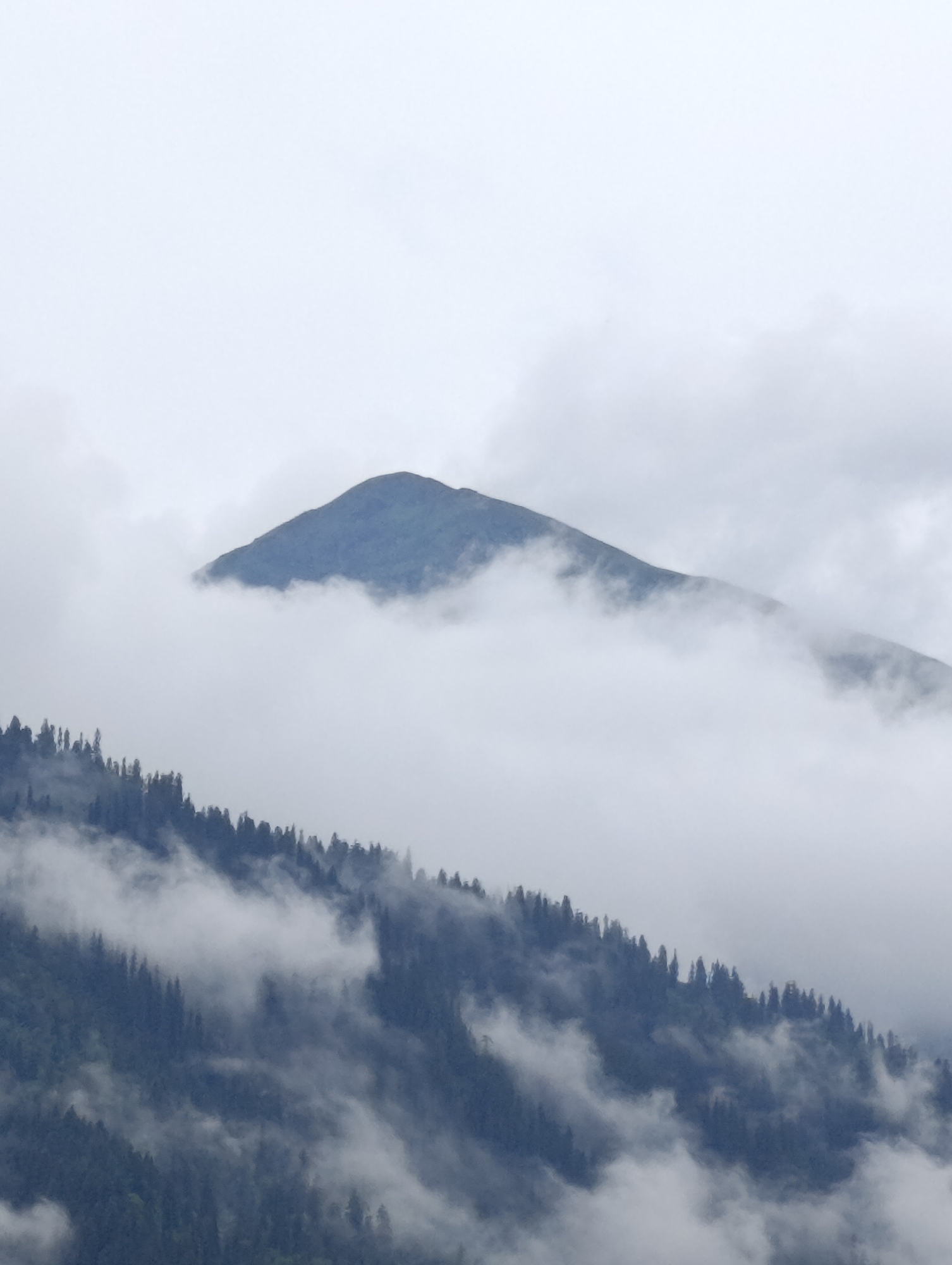 Mountain peak emerges through clouds above mist-covered forest