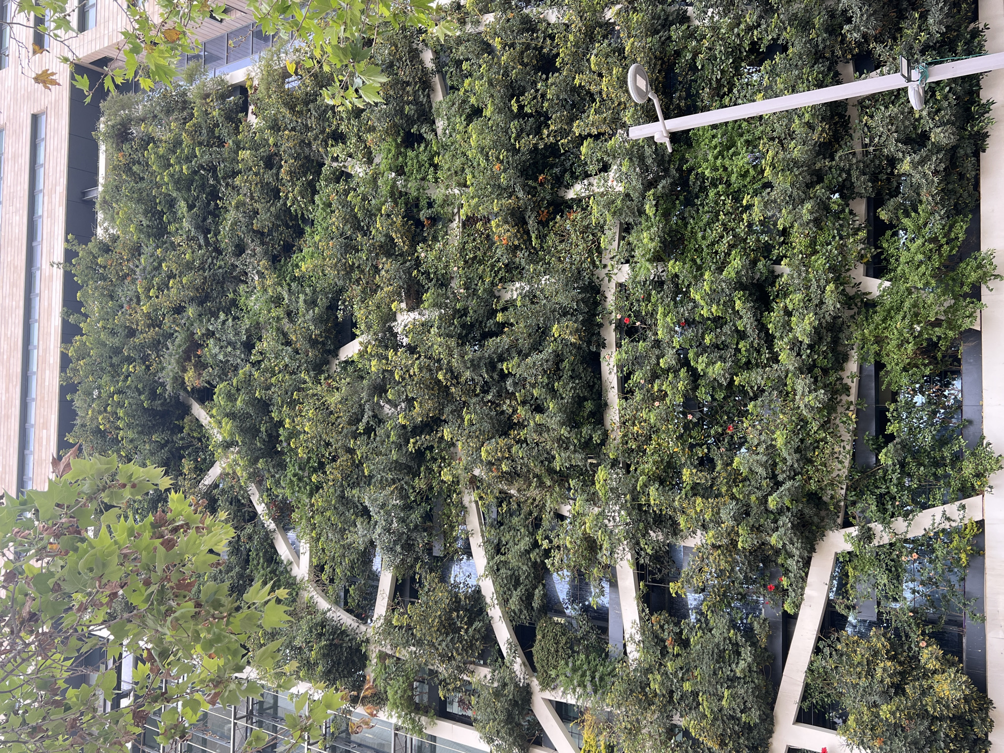 Tel Aviv building showcases lush vertical garden facade