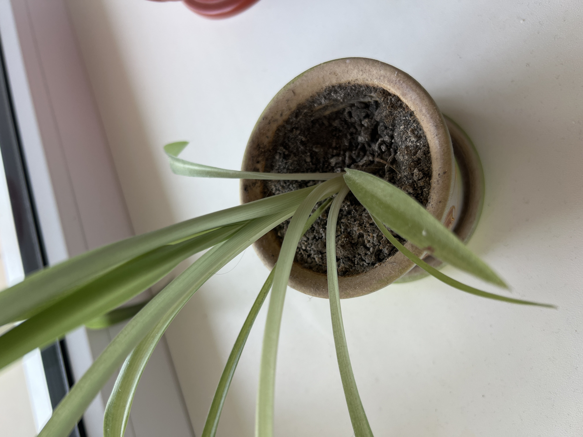 Everyday household objects, close up and unhurried