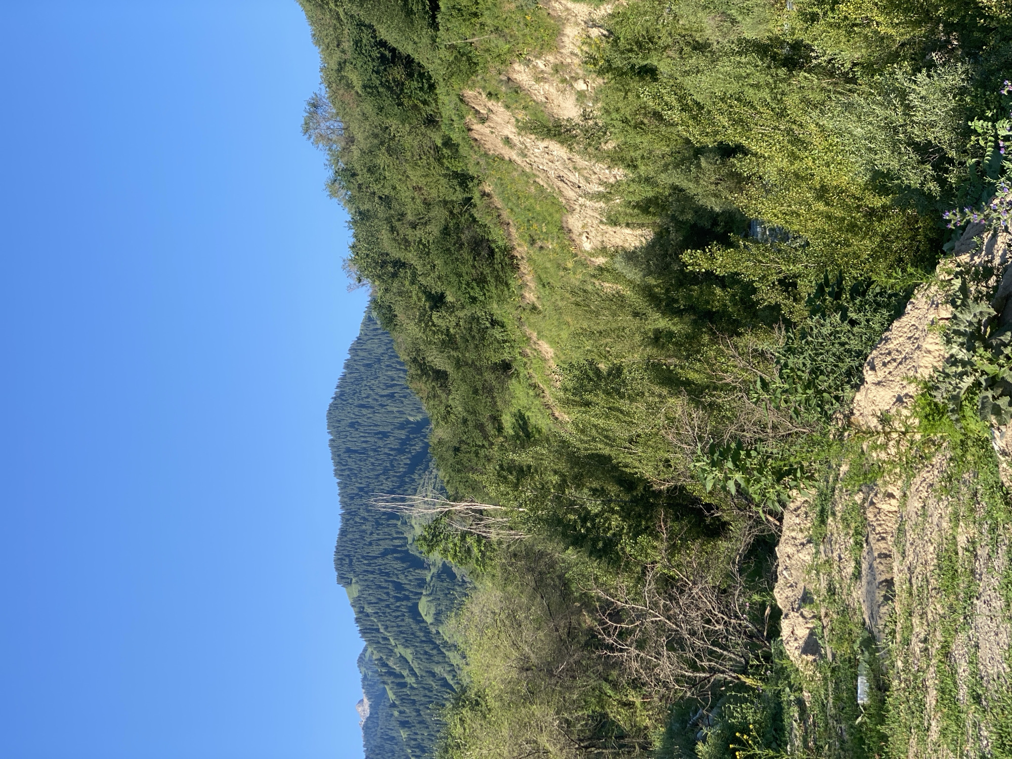 Exploring Almaty's green foothills, rivers, and wild nature