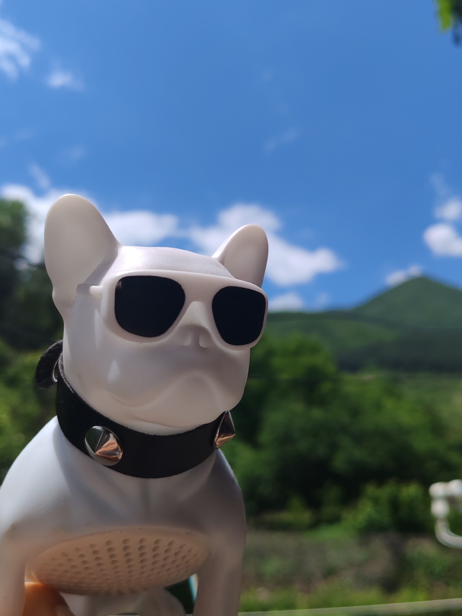 White bulldog figurine with sunglasses photographed outdoors