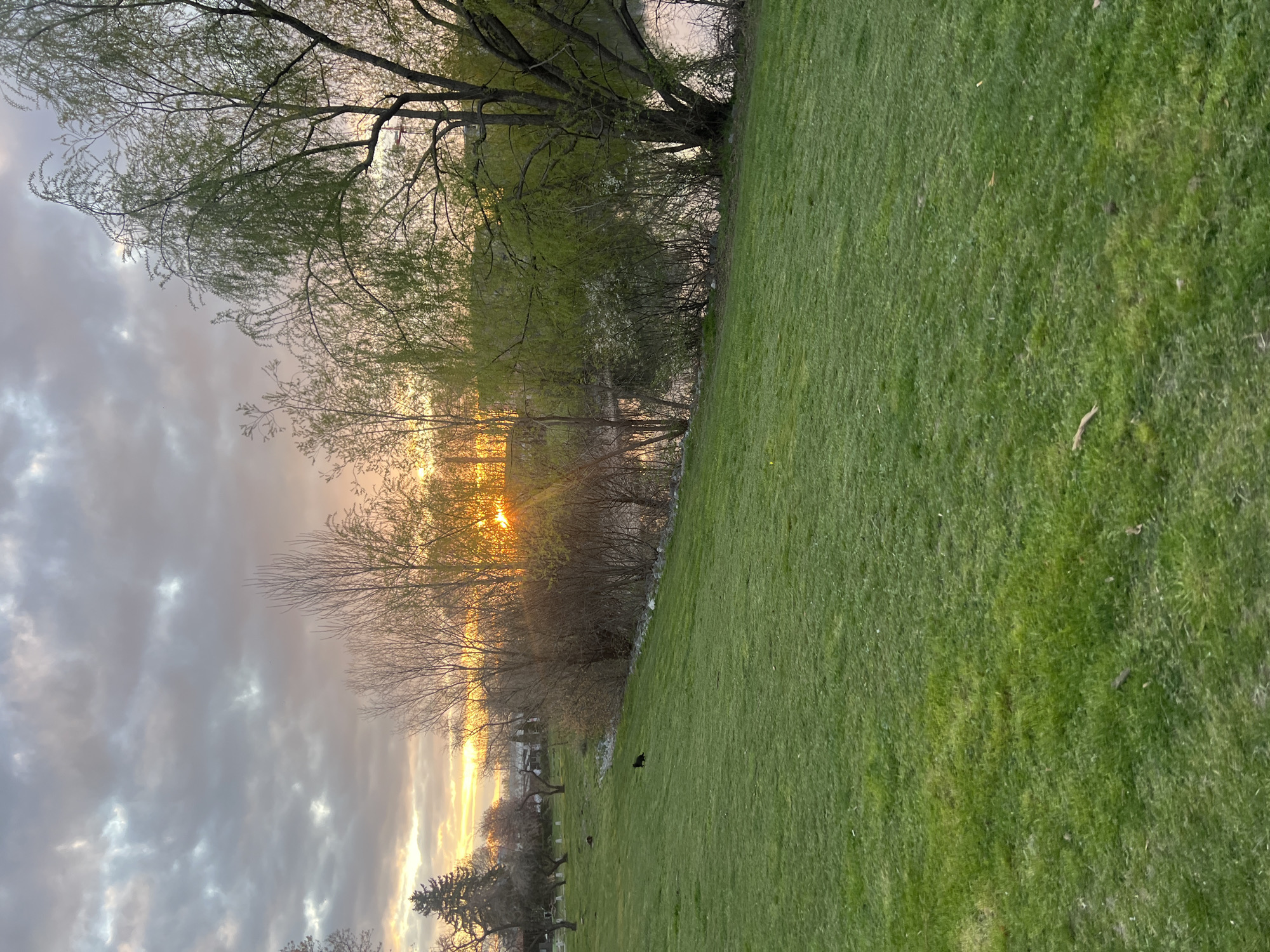 Morning sunset walk documented in Sofia park near water