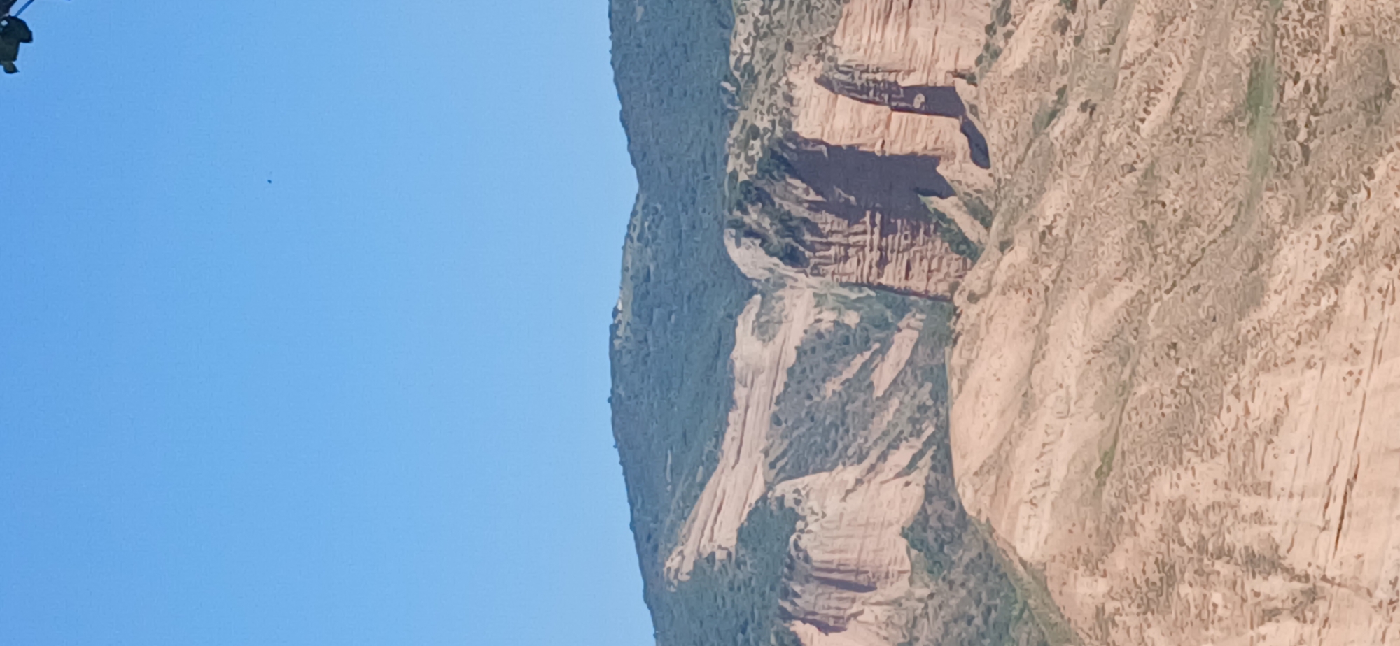 Flowers in bloom and a rugged sandstone cliff, up close