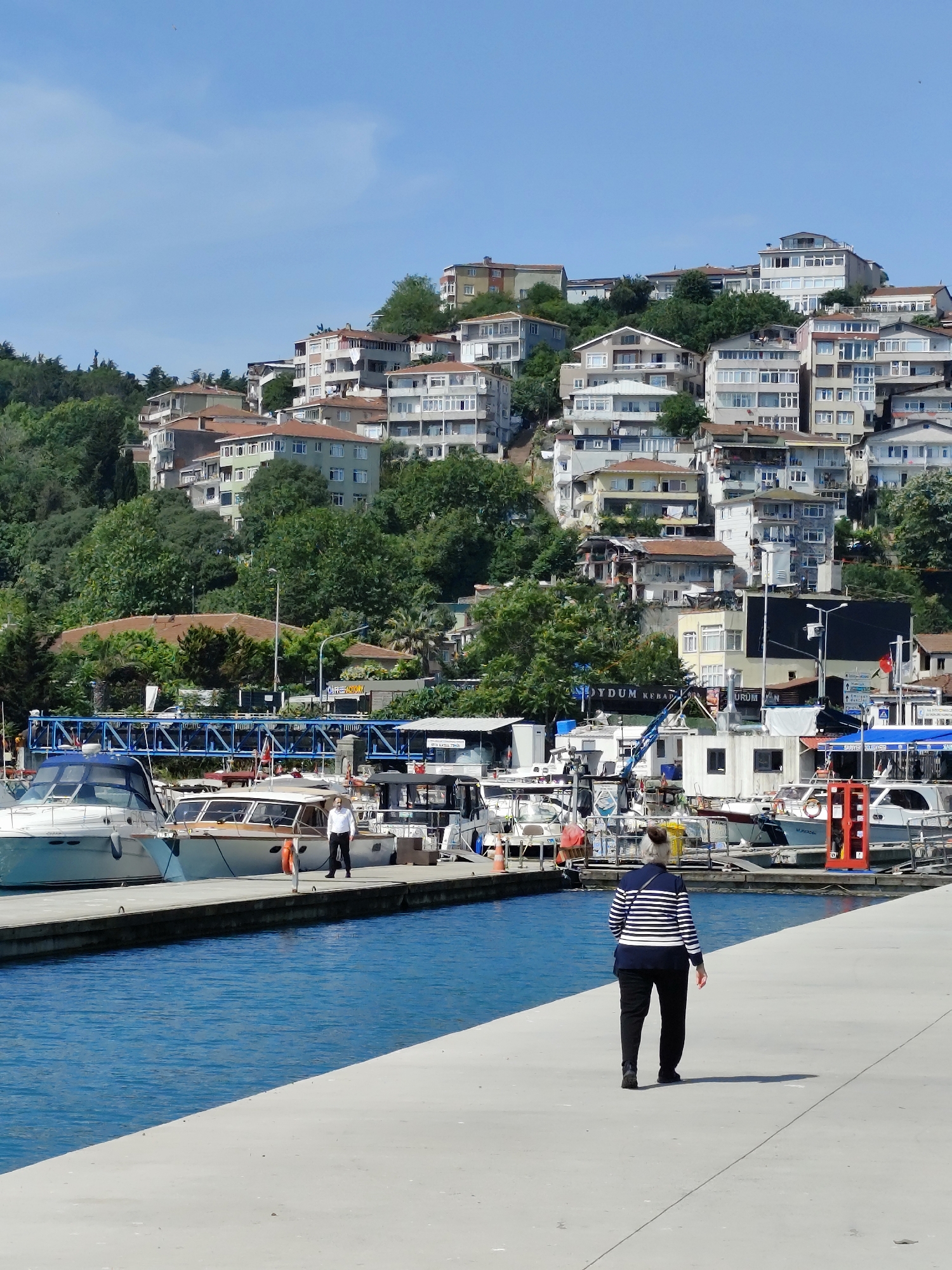 Morning scenes from Sarıyer waterfront and indoor cat moments