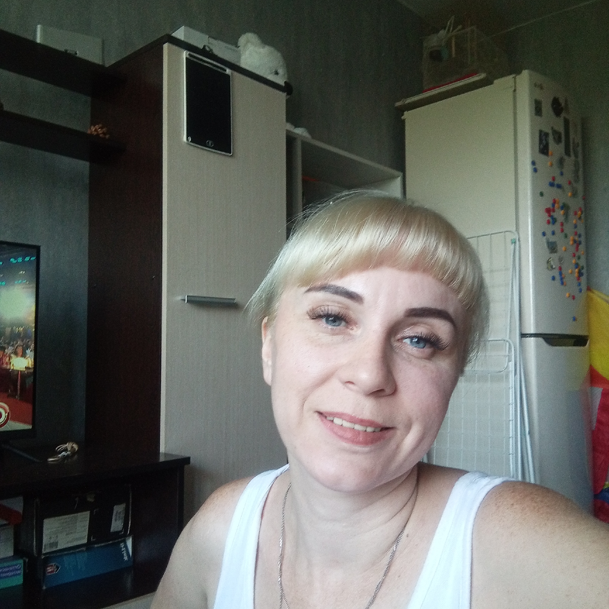 Tabby cat, toy mouse, and a selfie at home in Krasnoyarsk