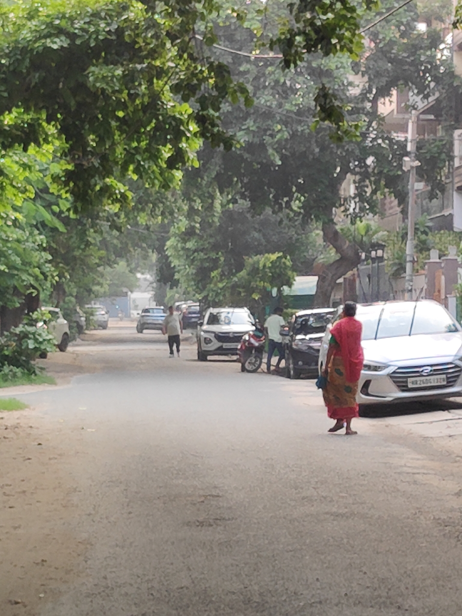 Quiet morning street life and urban birds, Gurgaon