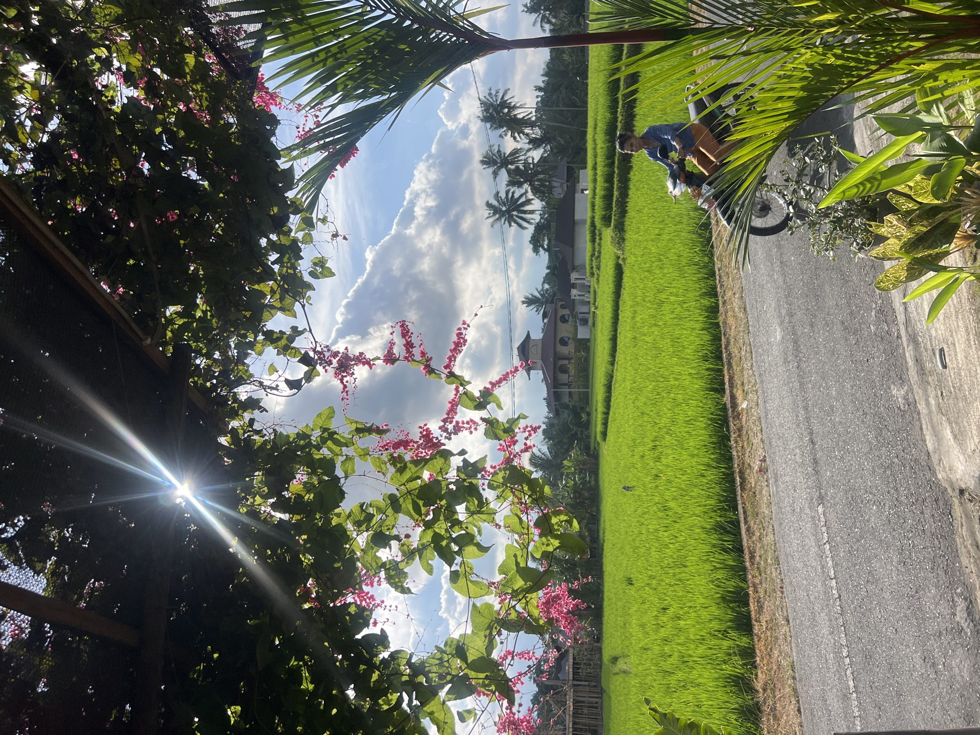 Morning scenes captured in rural Tampaksiring, Indonesia
