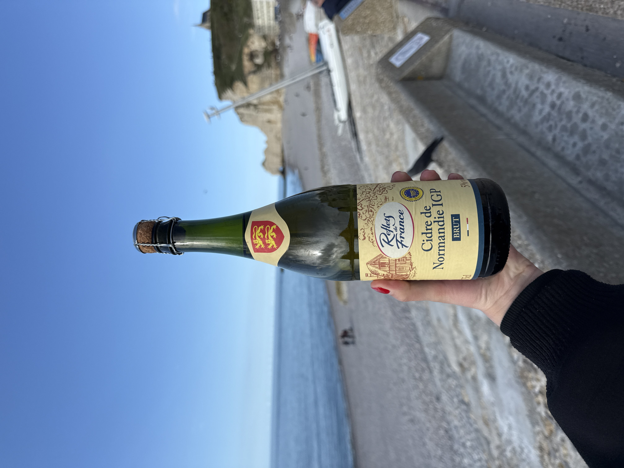 Tourist moments captured in Étretat's coastal scenery