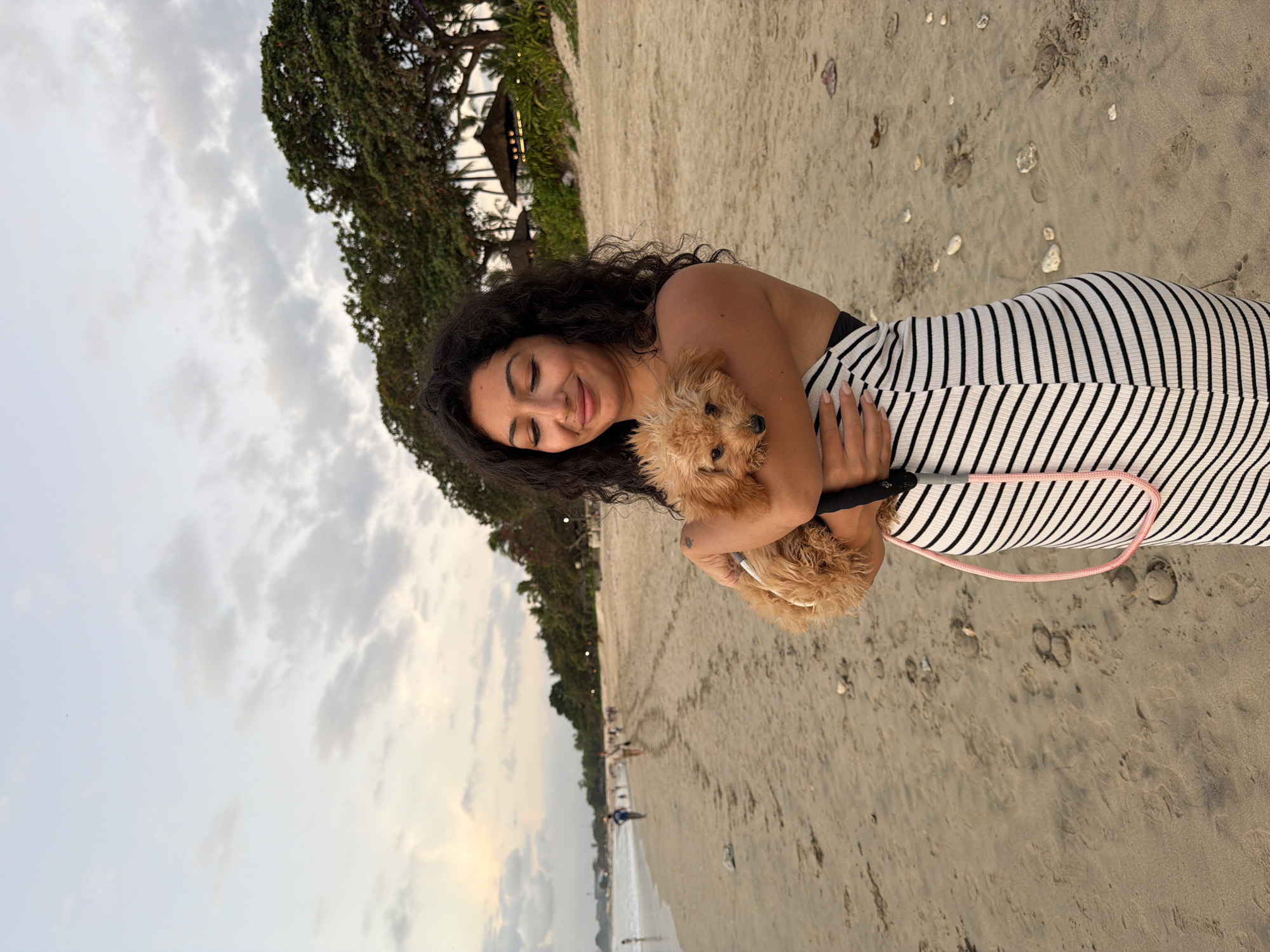 Beach afternoon in Kuta Selatan: horses, a dog, and sunset light