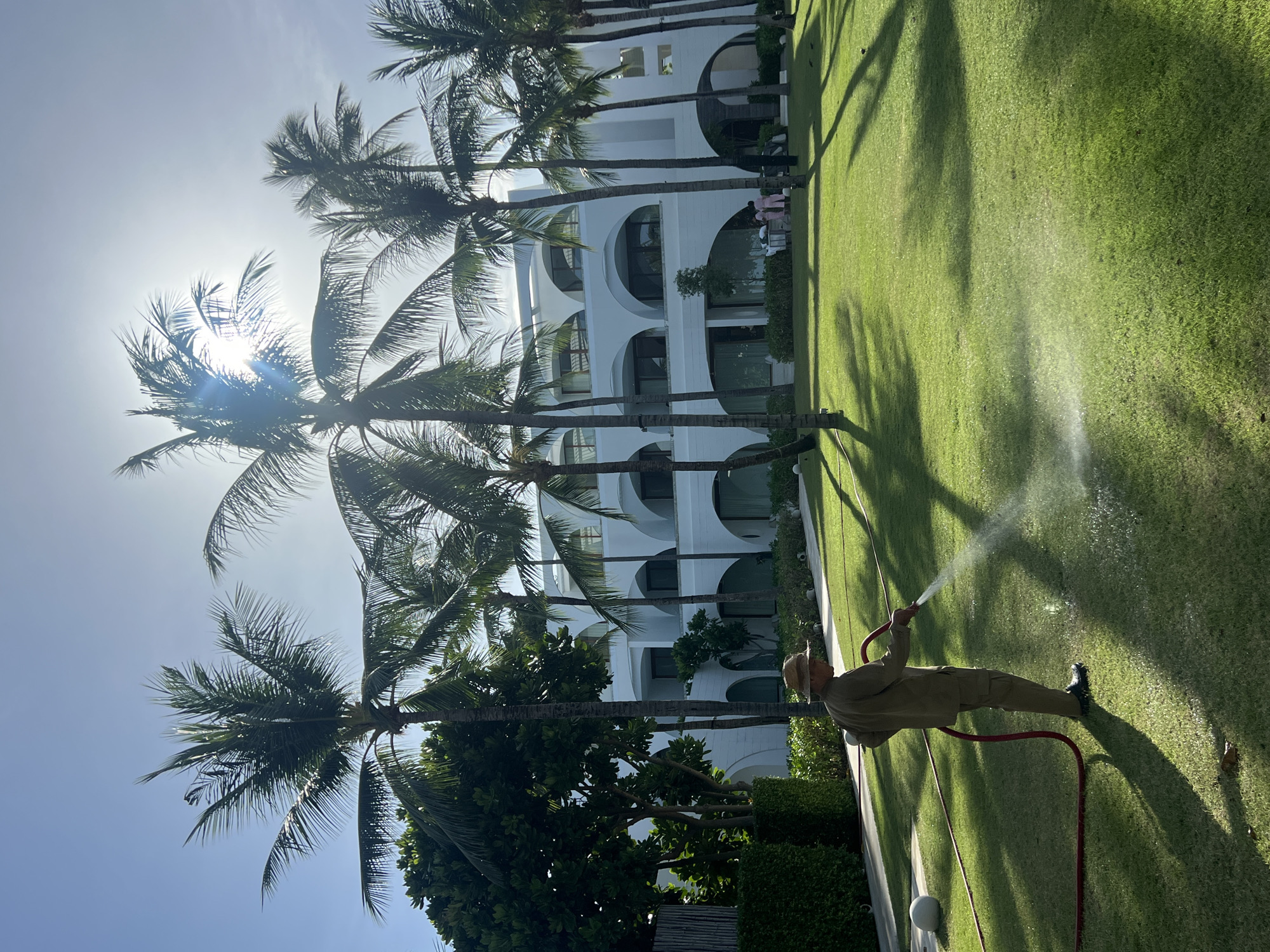 Woman in tropical setting, groundskeeper watering lawn observed Tuesday morning