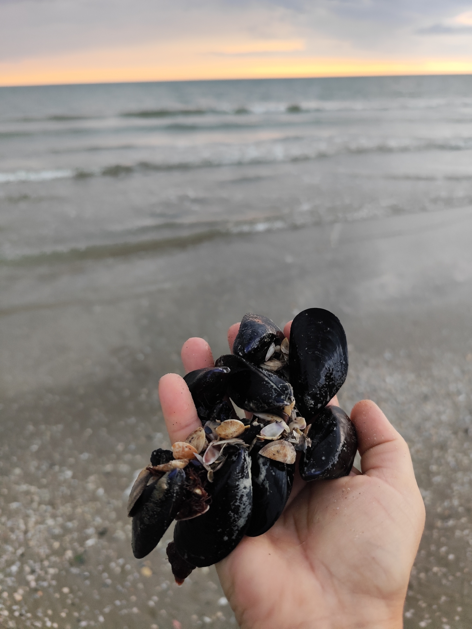 Rimini, Italy
