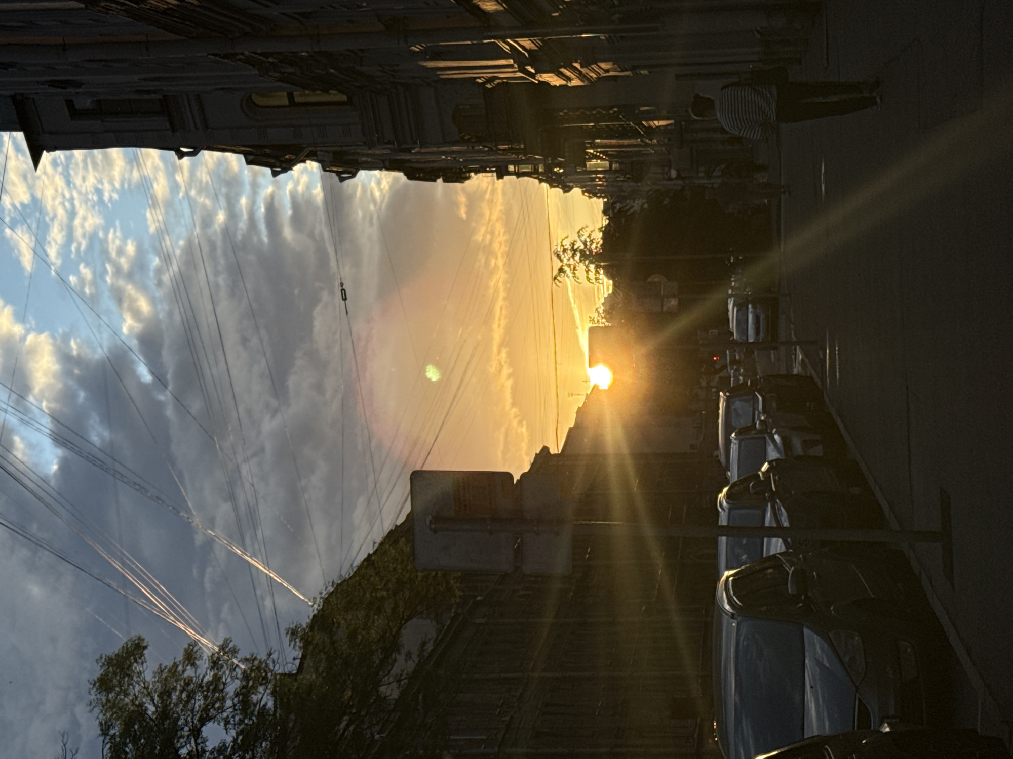 Saint Petersburg resident captures sunset, strawberries, and city tram