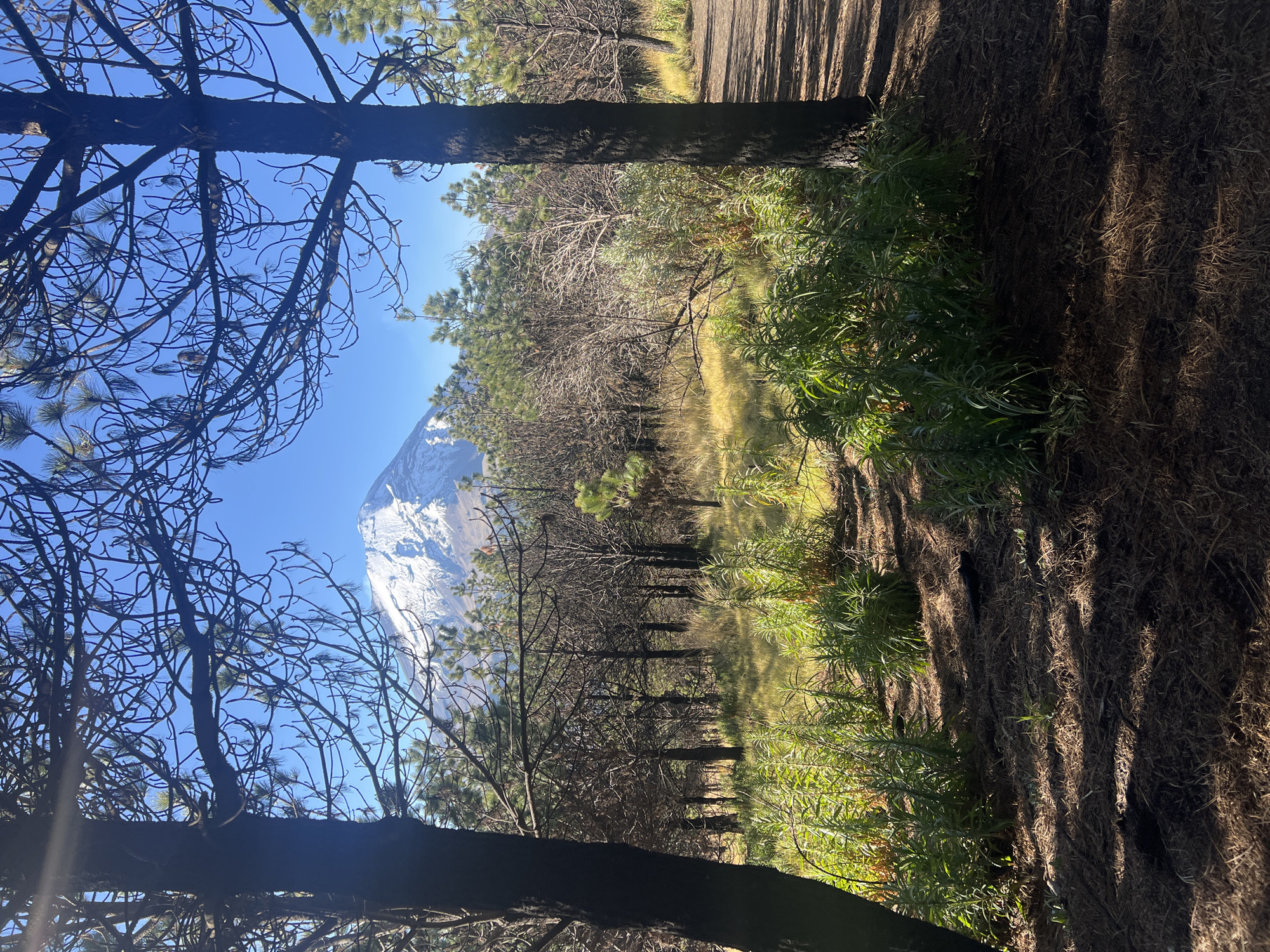 Landscape with snow-capped mountain observed in Tlamacas, Mexico