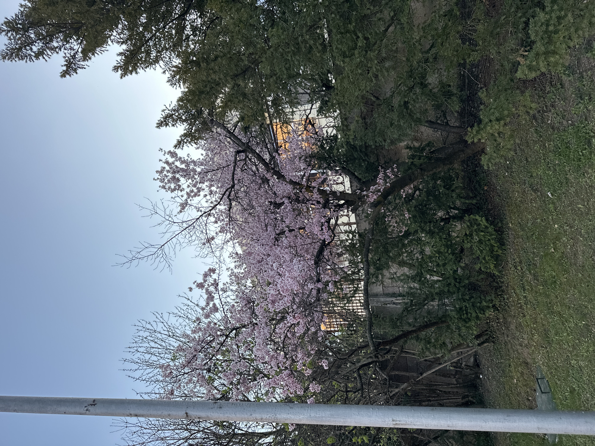 Ordinary street and park scenes documented in Sofia
