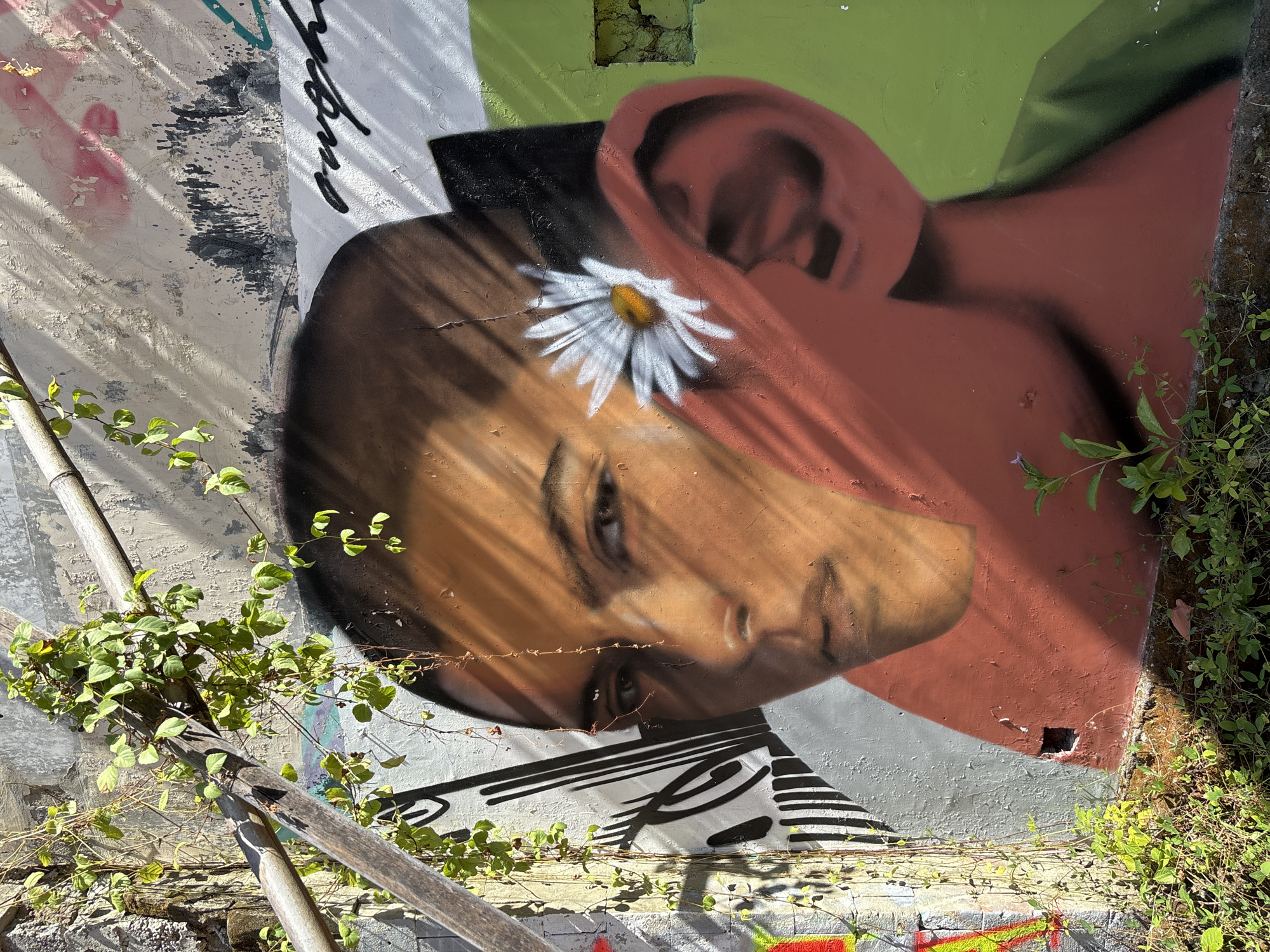 Street art and urban decay documented across Denpasar locations