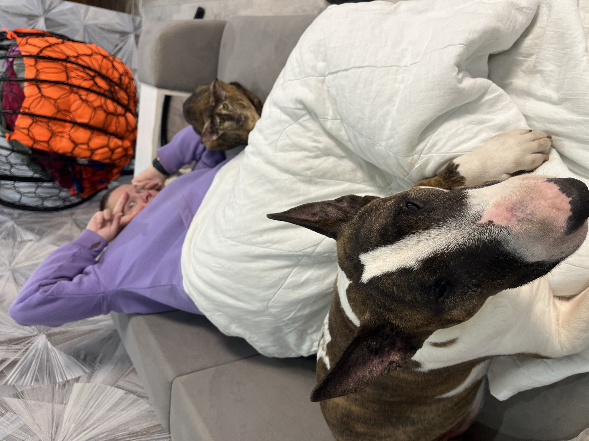 Woman relaxes with bull terrier on sofa in Chaikovsky