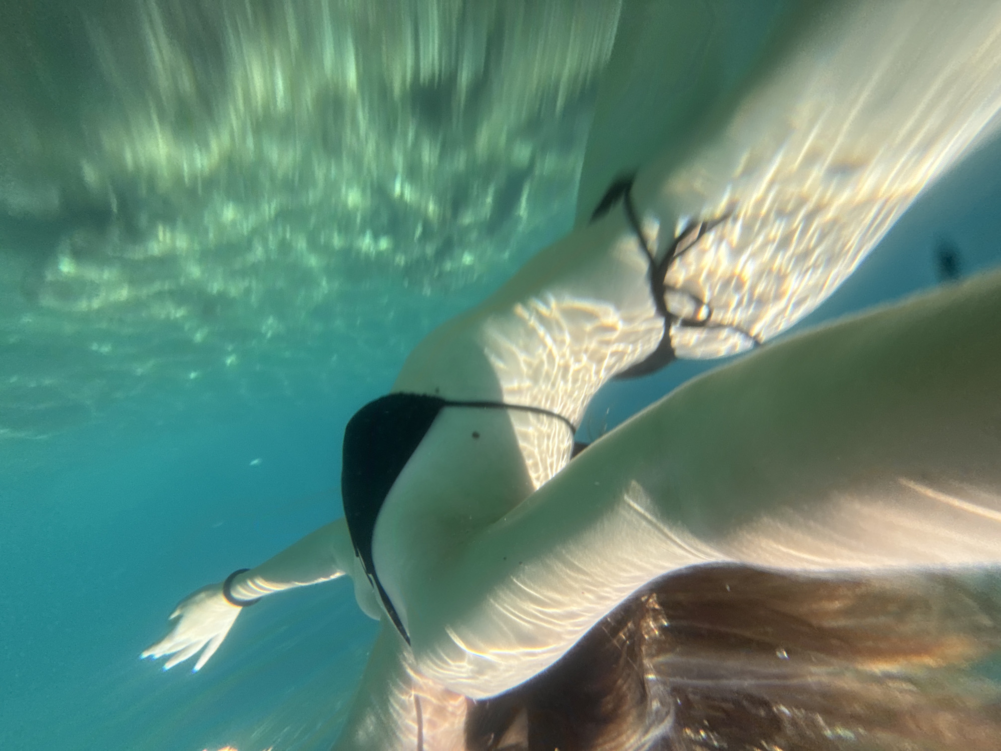 Early morning swimming session documented in Budva, Montenegro waters
