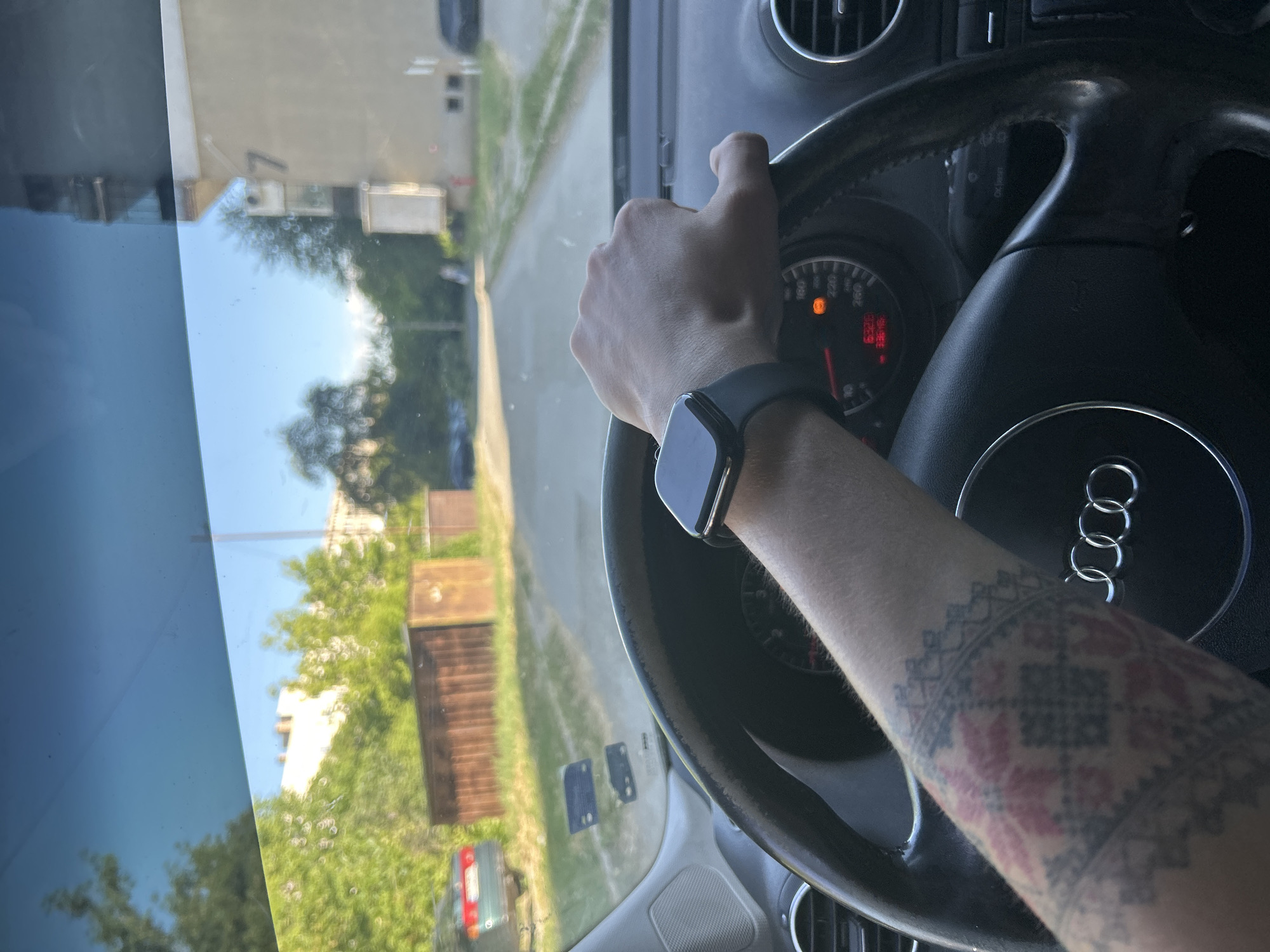 Quiet afternoon scenes captured in Kazanlak: driving, resting kitten